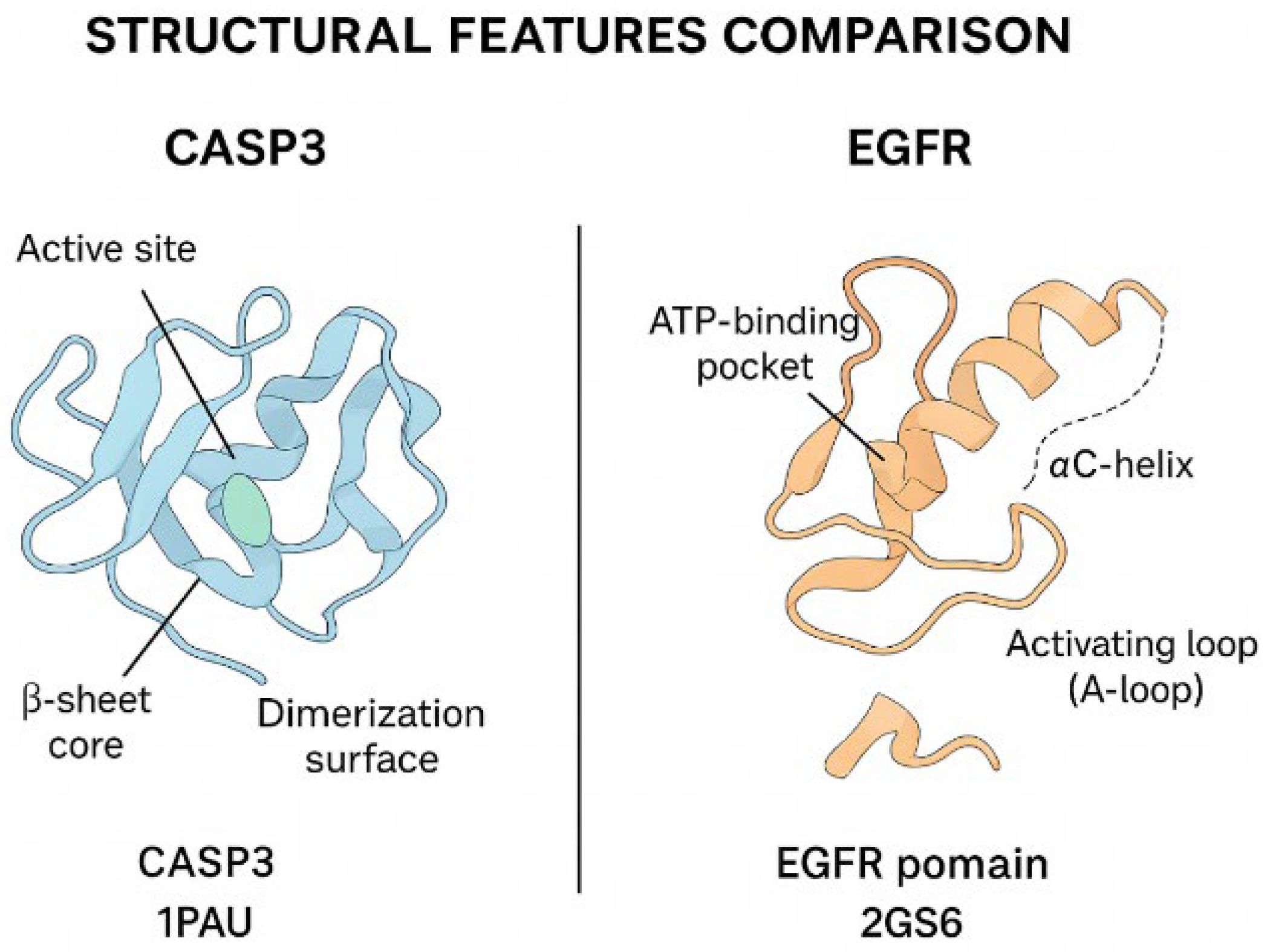 Biomedicines 13 02798 g015