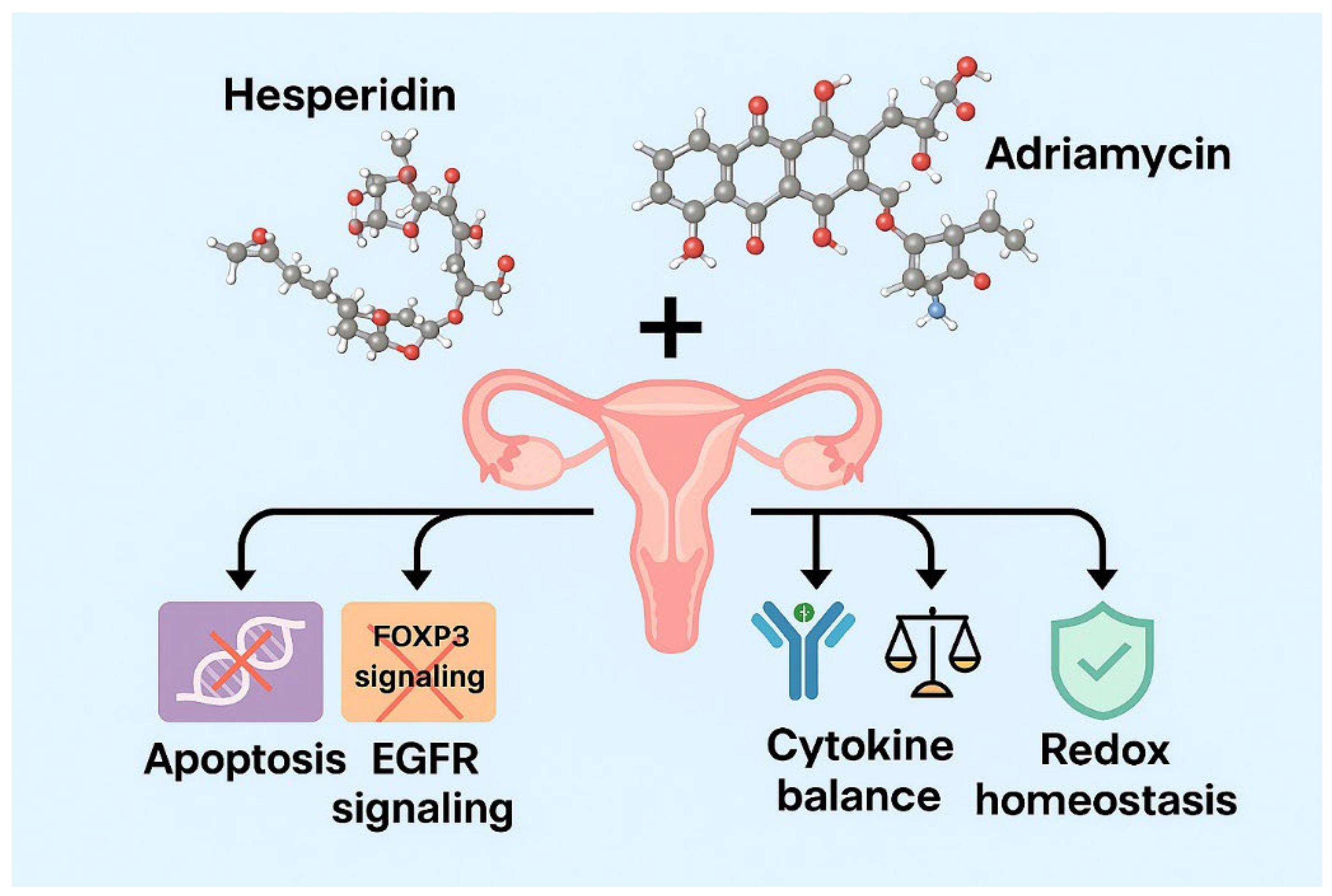 Biomedicines 13 02798 g017