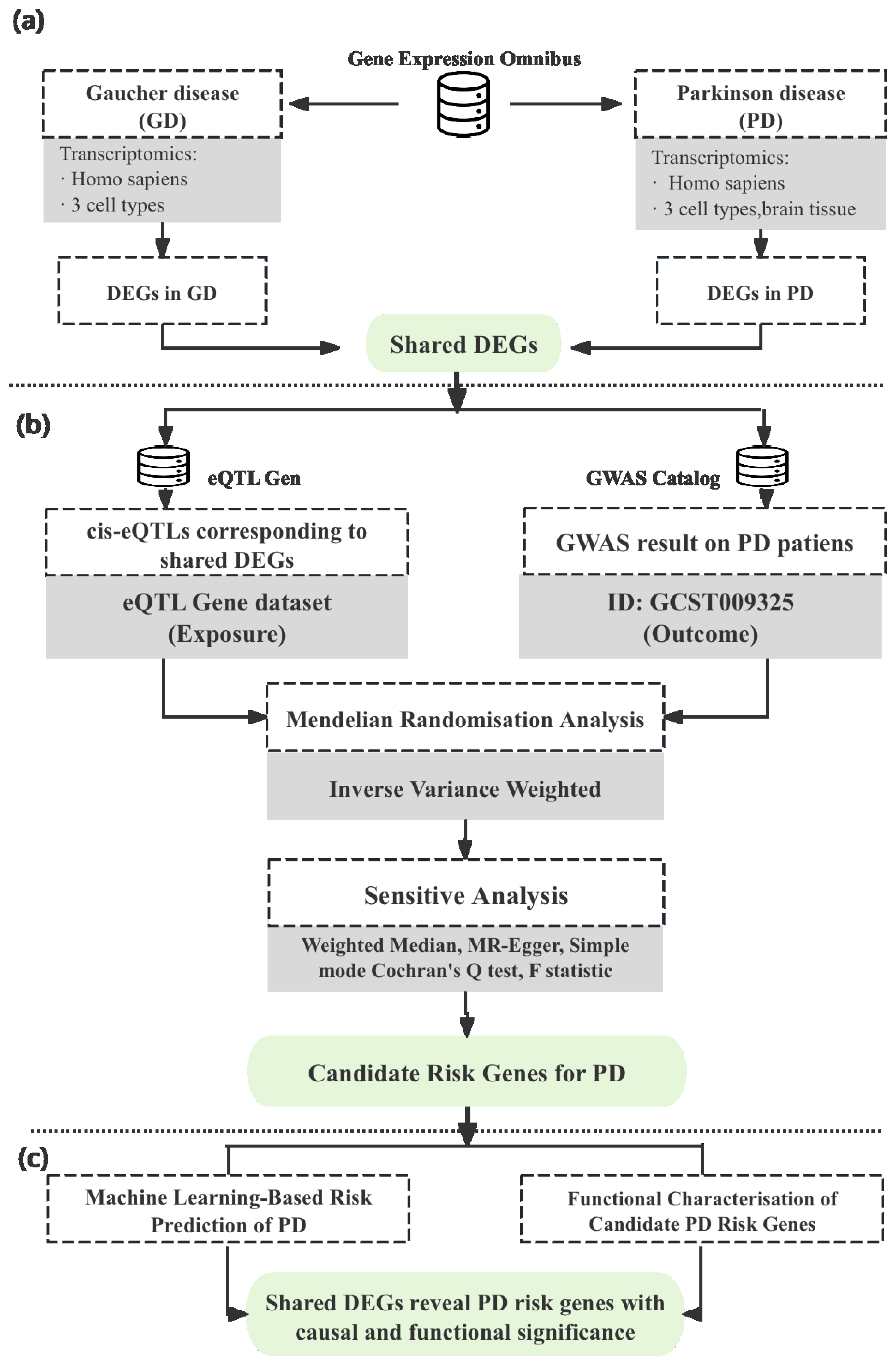 Biomedicines 13 02799 g001 Biomedicines 13 02799 g001