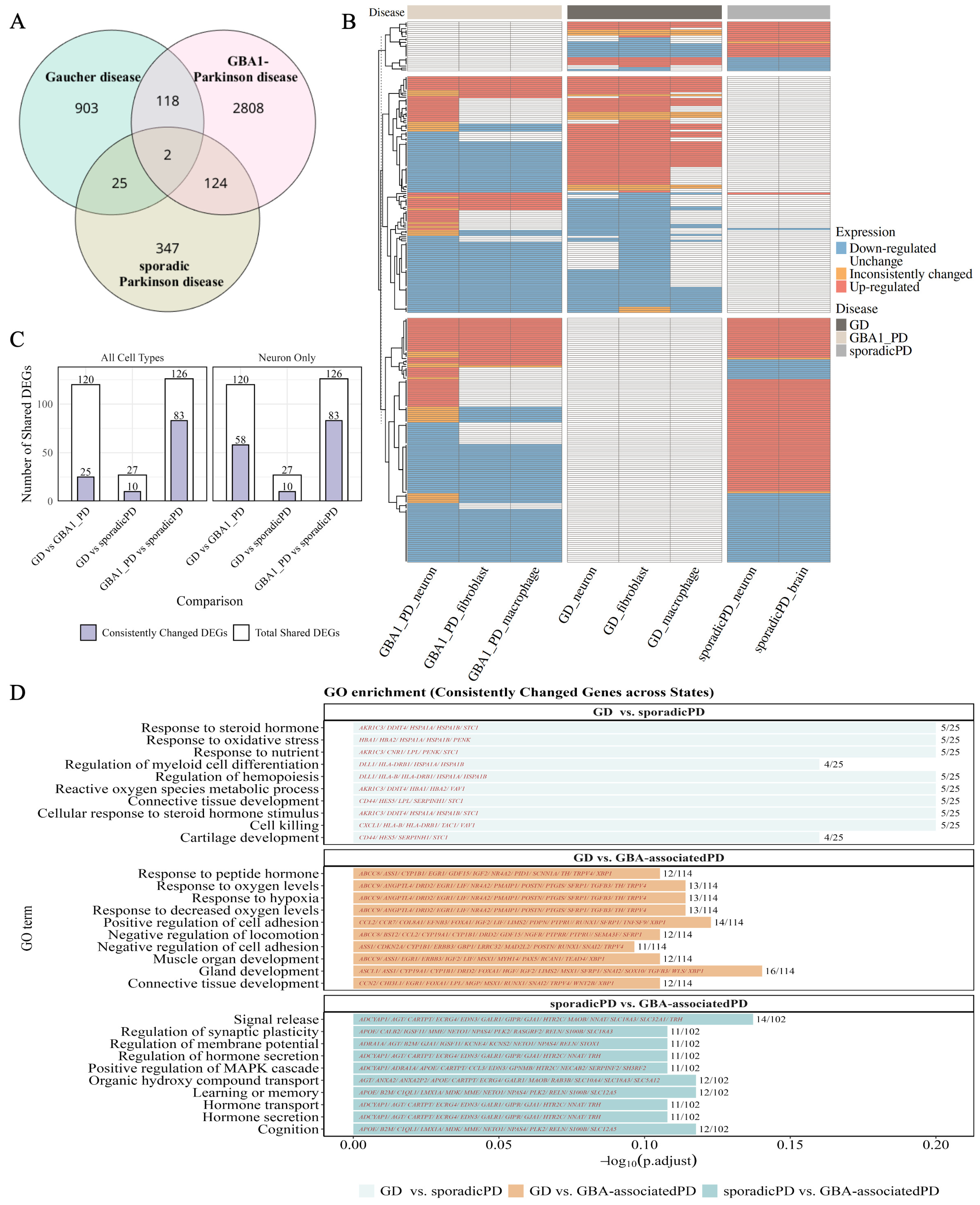 Biomedicines 13 02799 g002 Biomedicines 13 02799 g002