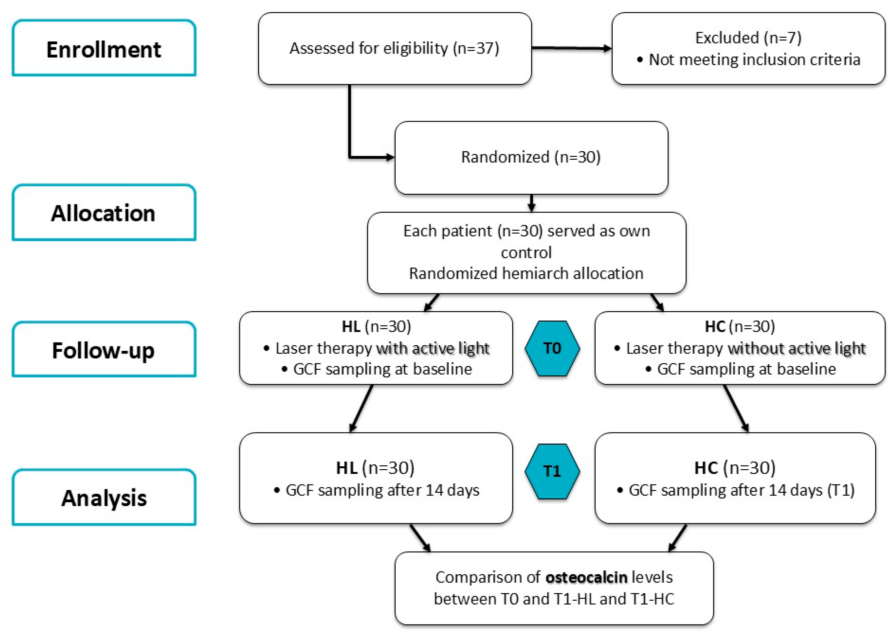 Biomedicines 13 02803 g001