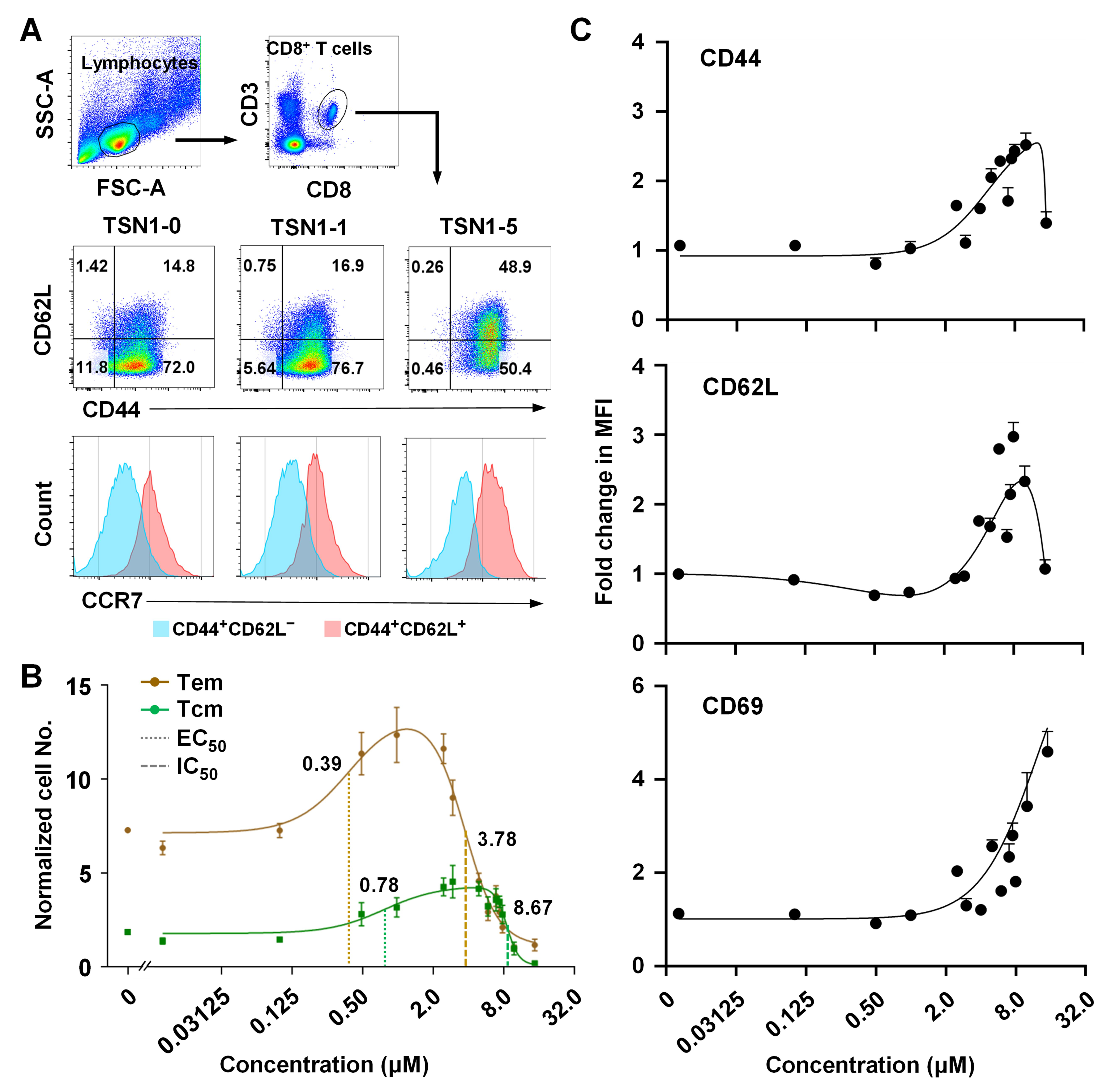 Biomedicines 13 02805 g002