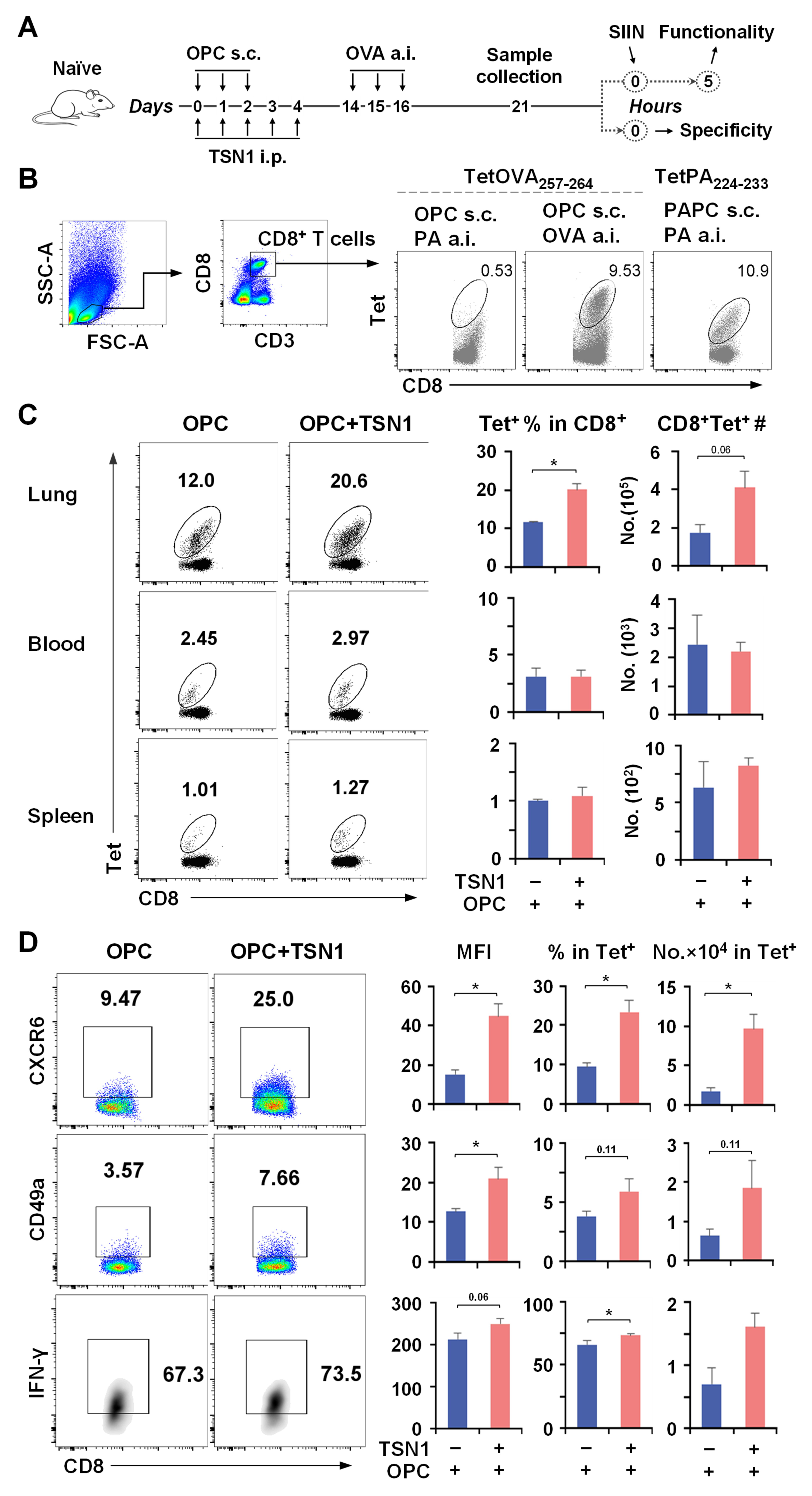 Biomedicines 13 02805 g004