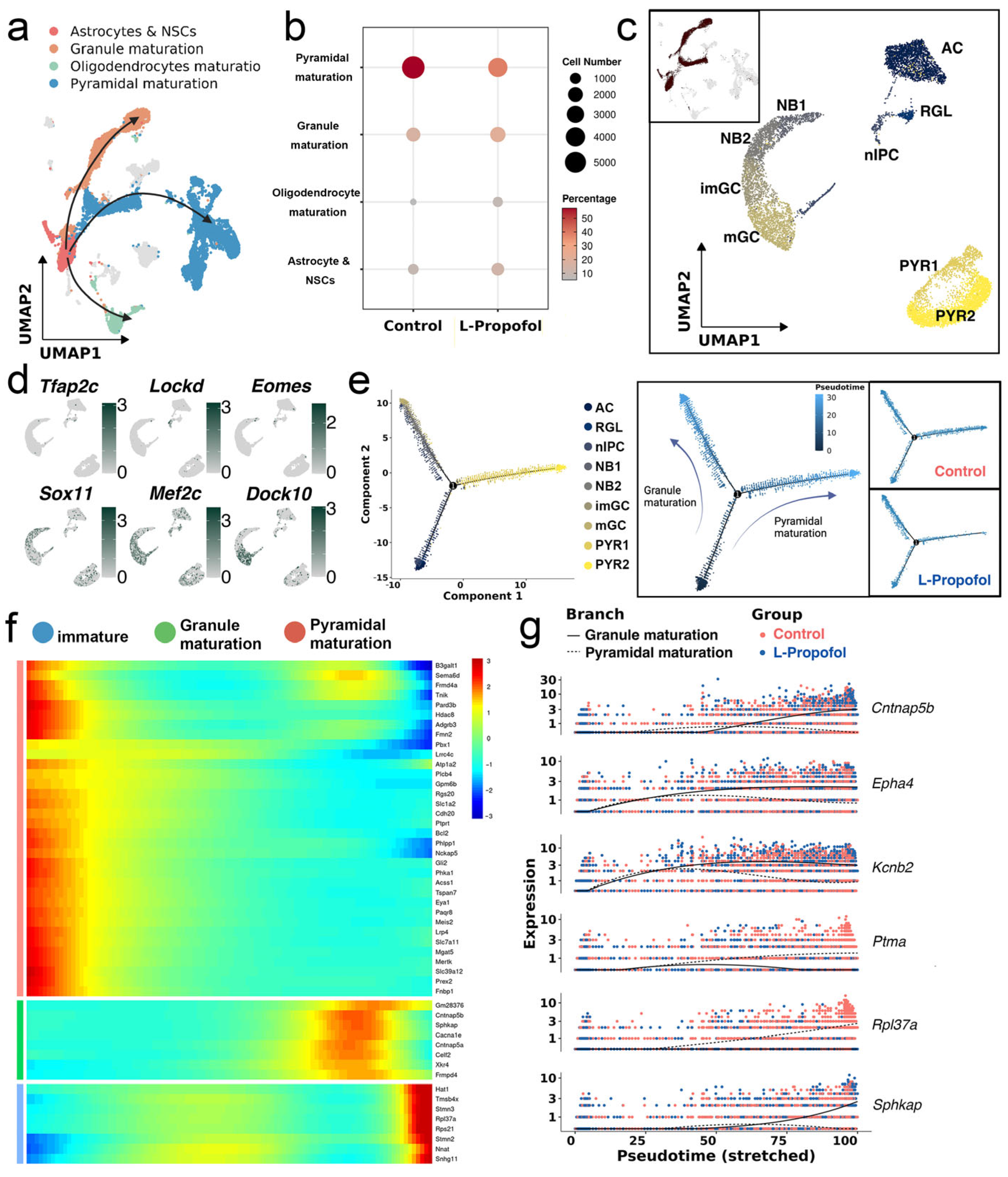 Biomedicines 13 02806 g002