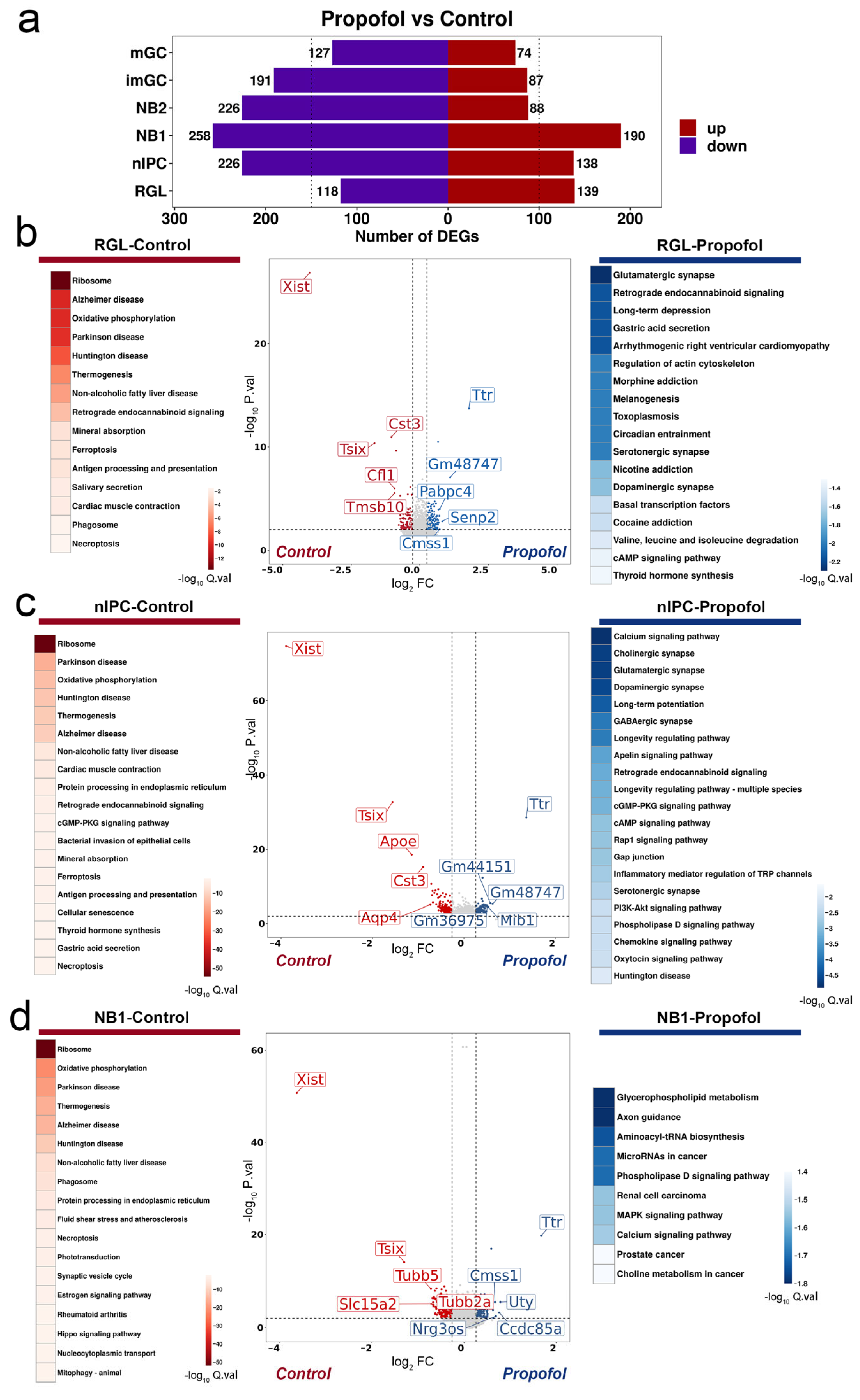 Biomedicines 13 02806 g003