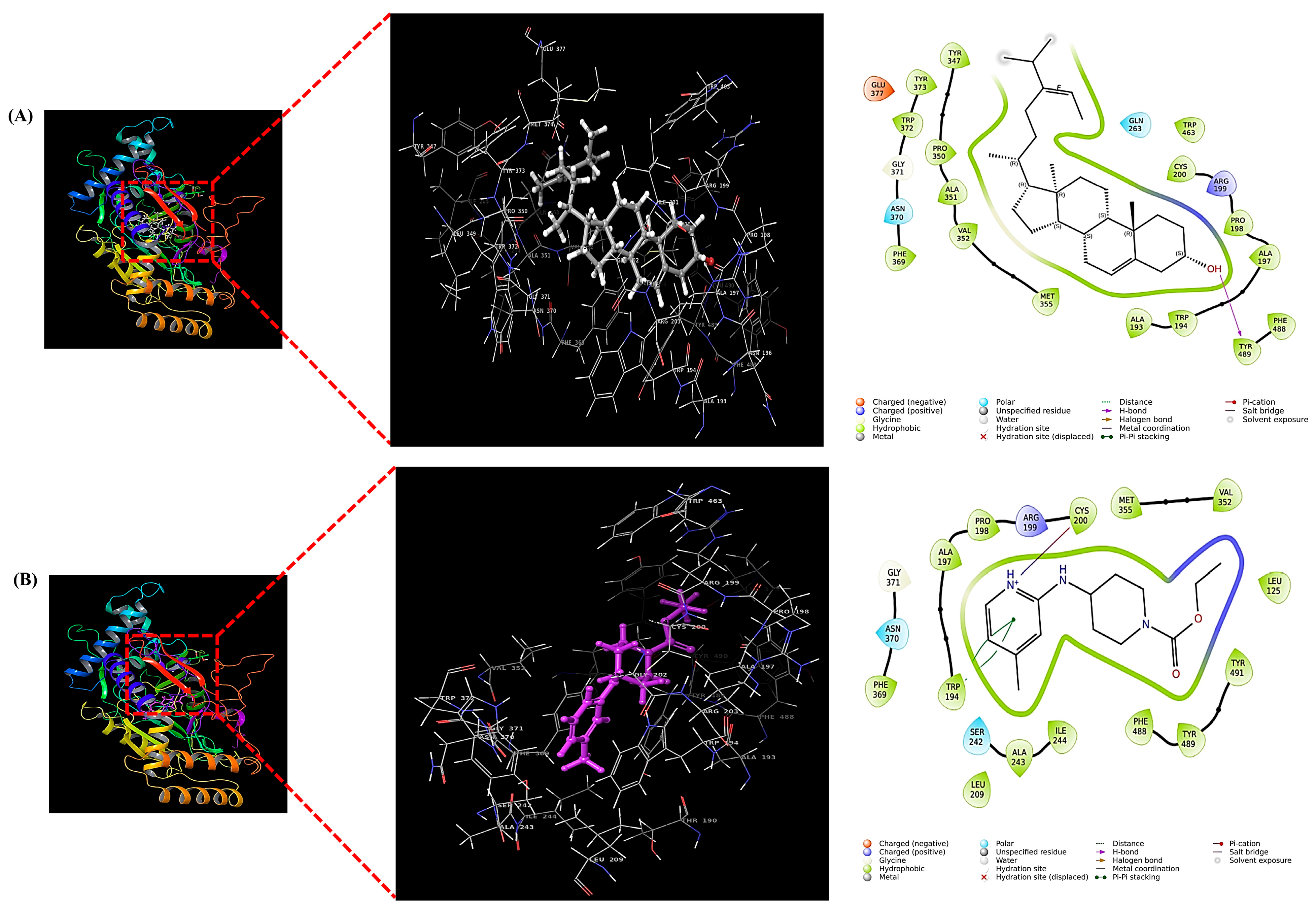 Biomedicines 13 02808 g009