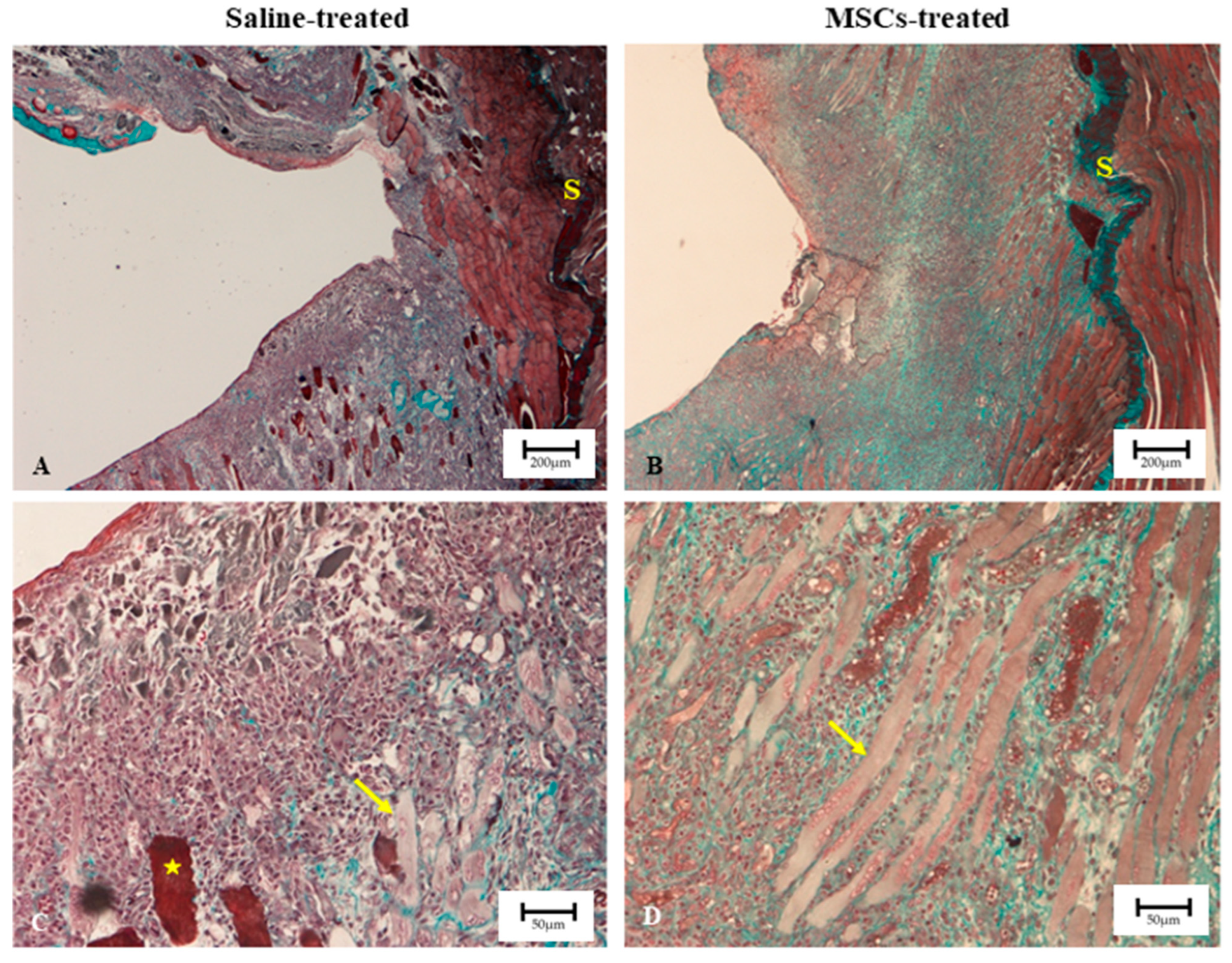 Biomedicines 13 02810 g007