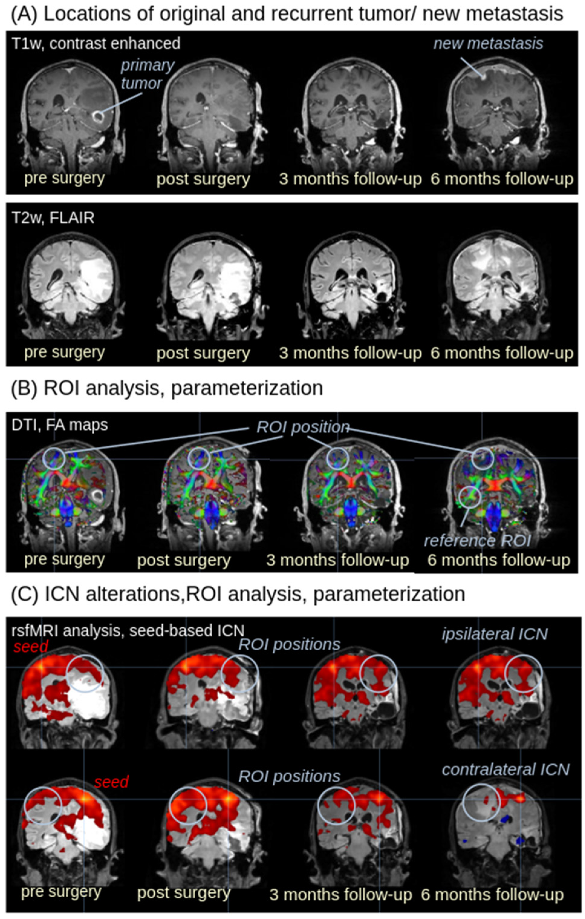 Biomedicines 13 02811 g001