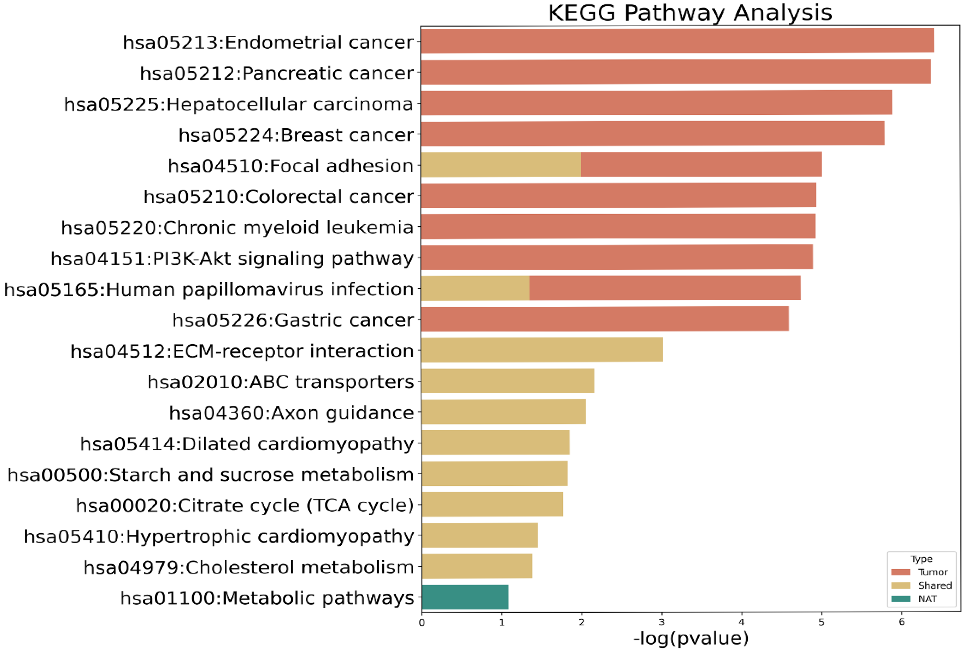 Biomedicines 13 02812 g002