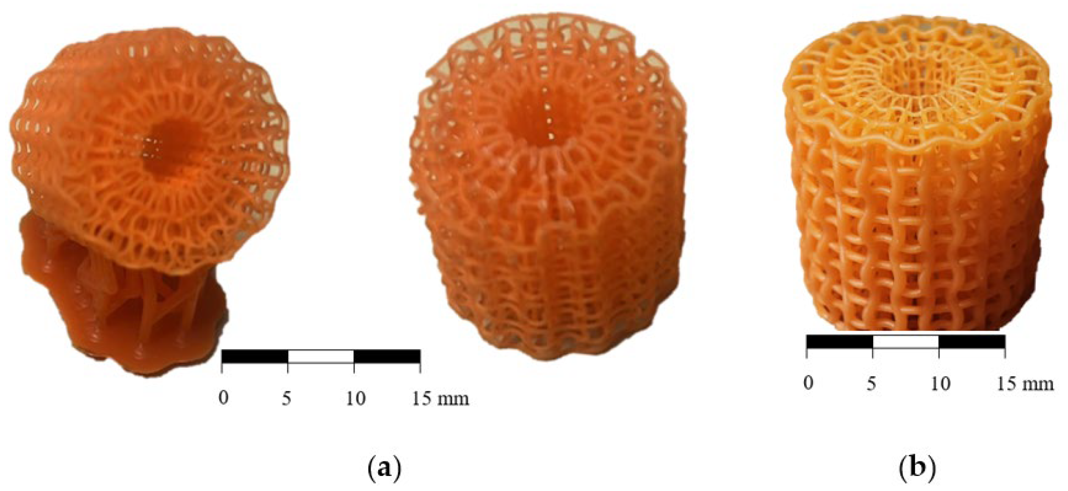 Biomedicines 13 02816 g002