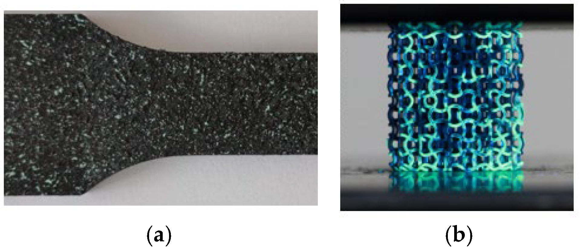 Biomedicines 13 02816 g003