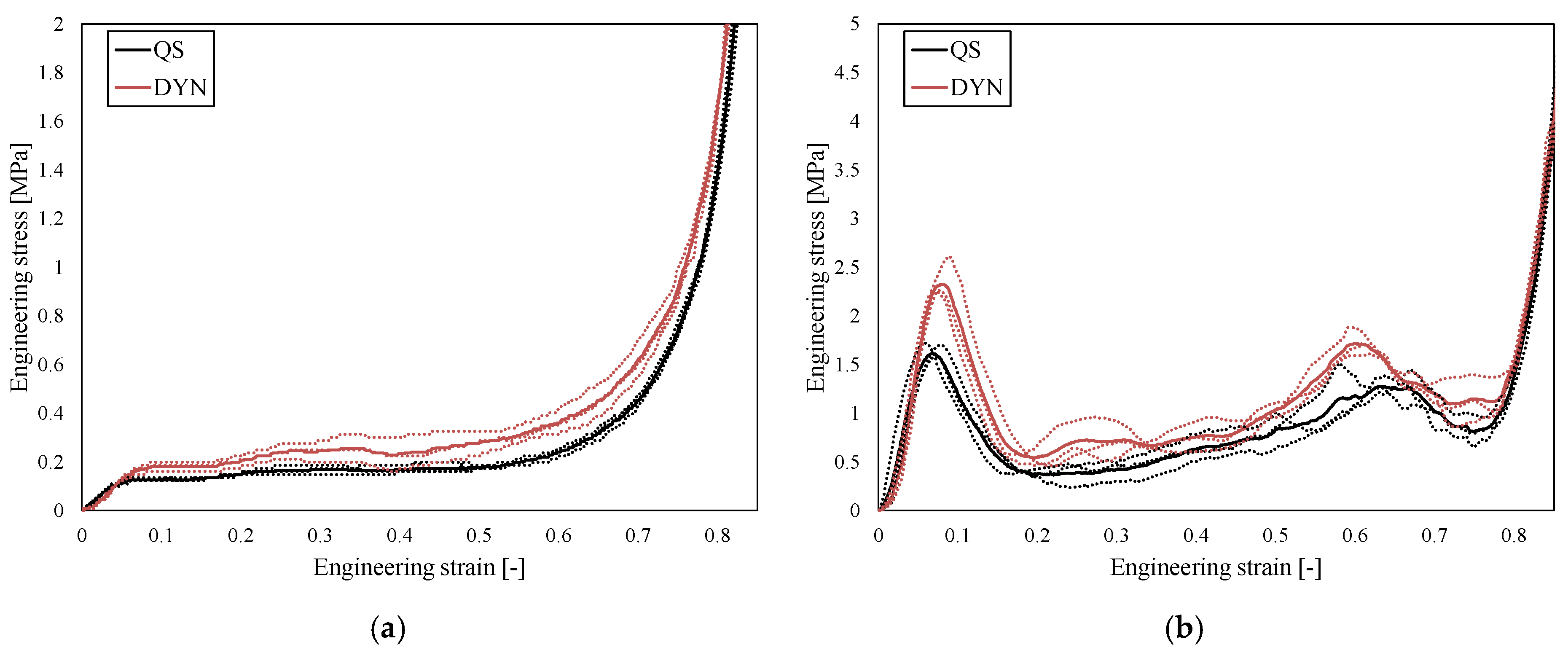 Biomedicines 13 02816 g005