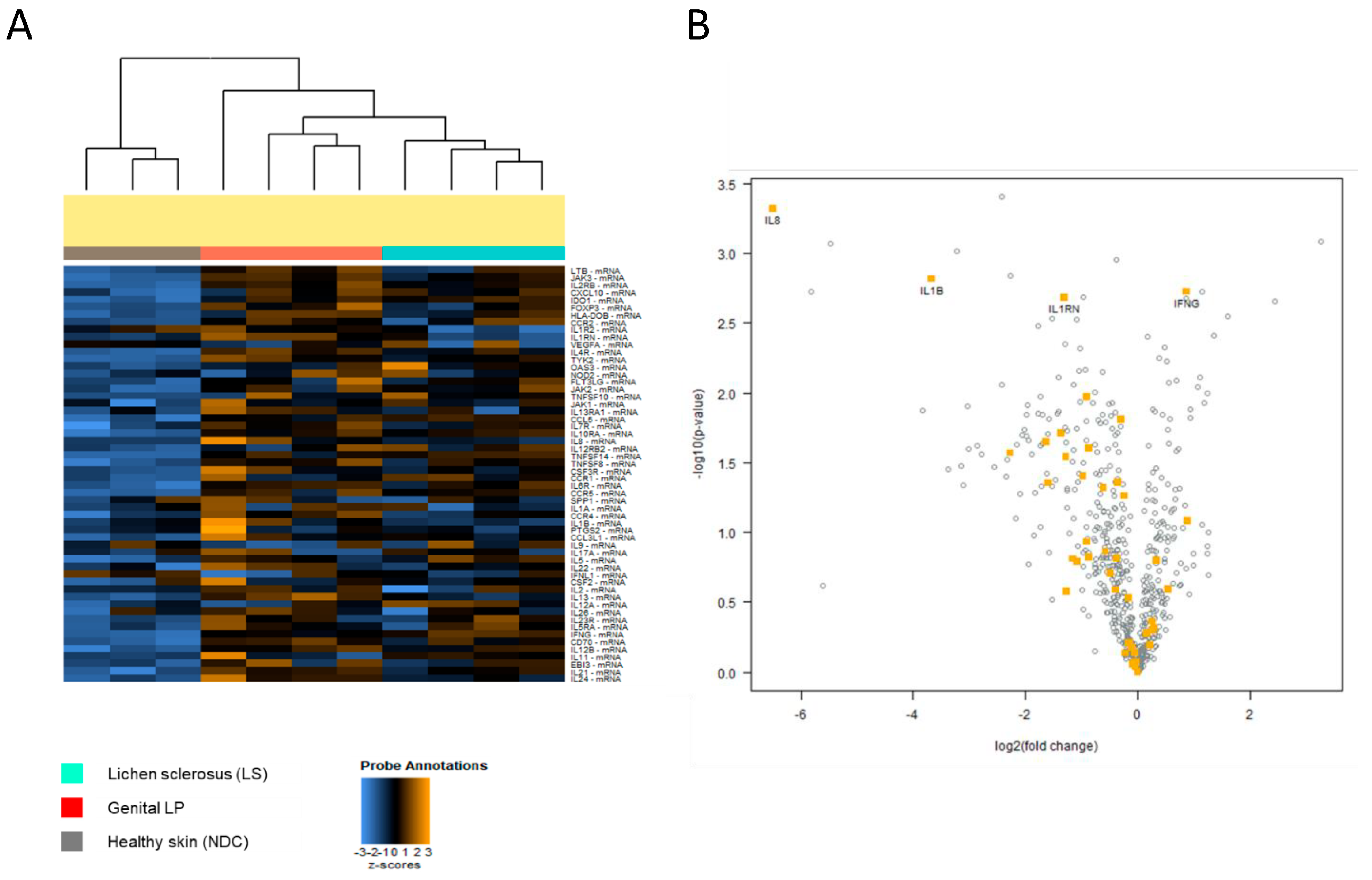 Biomedicines 13 02817 g004 Biomedicines 13 02817 g004