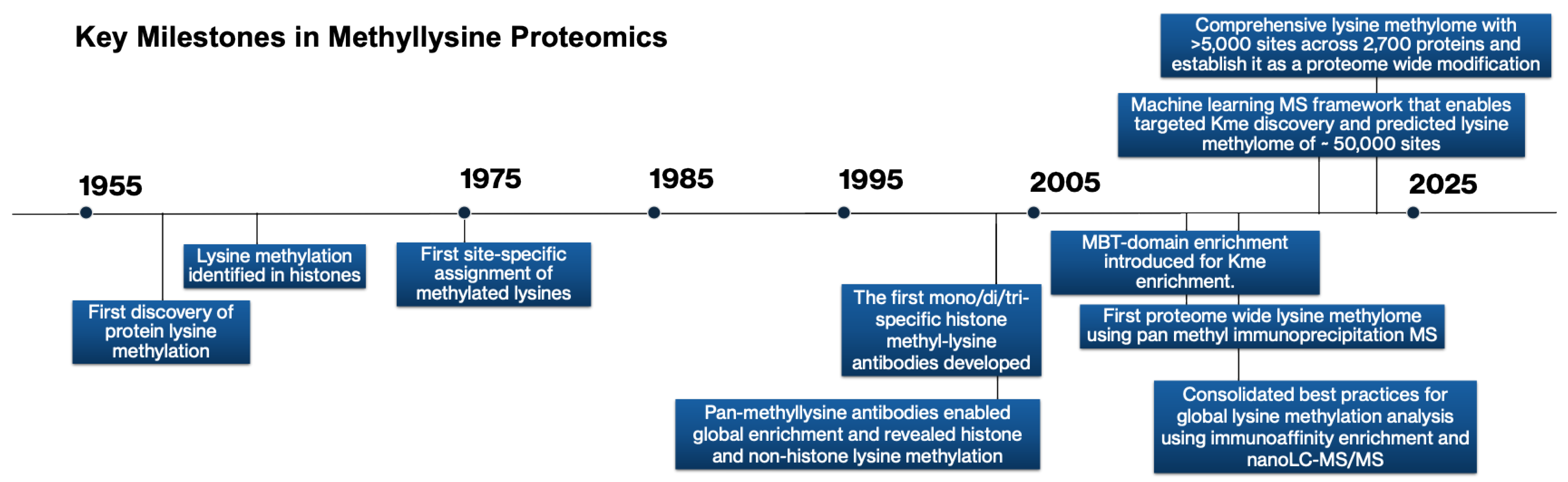 Biomedicines 13 02825 g002