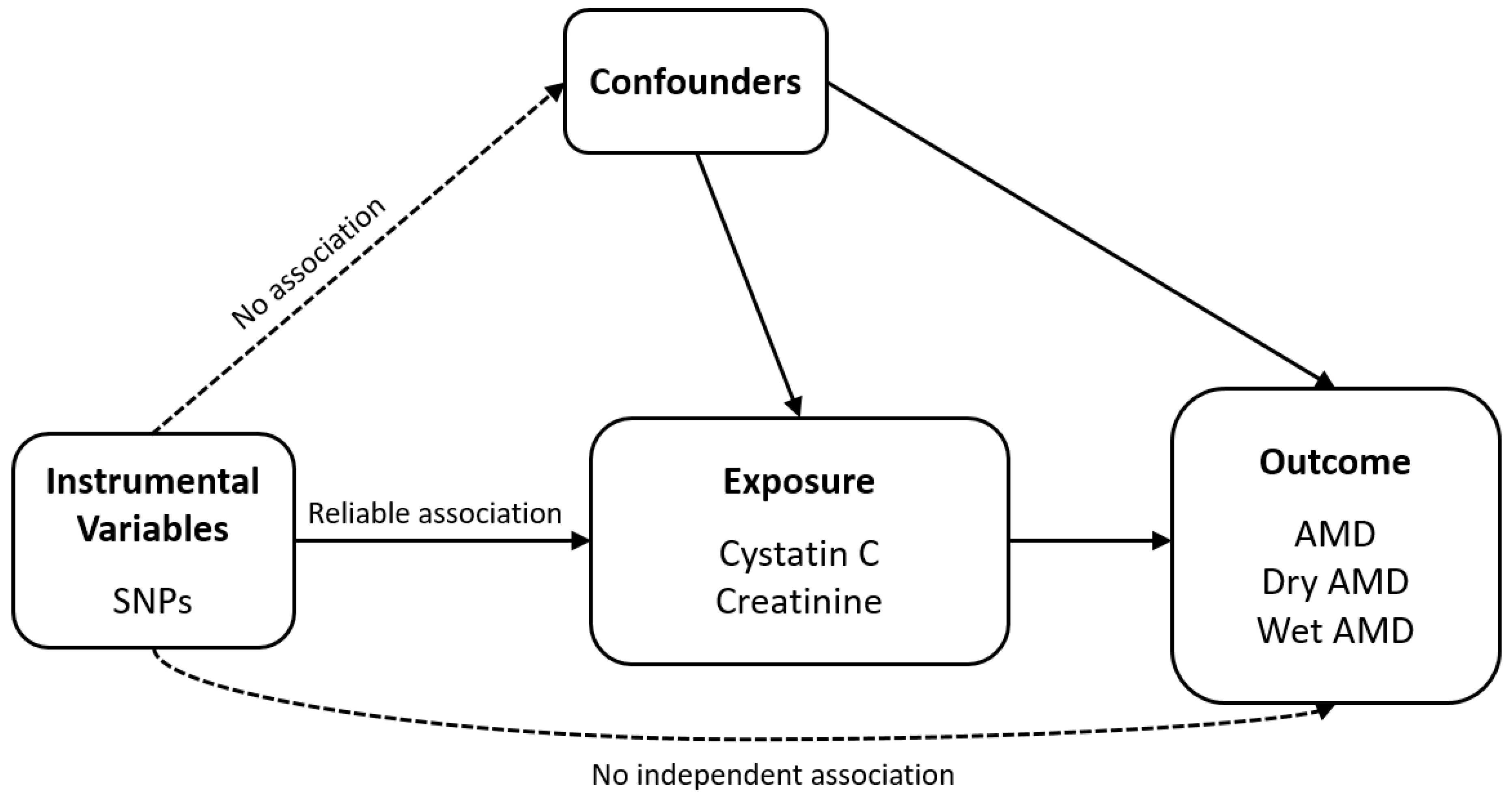 Biomedicines 13 02827 g001