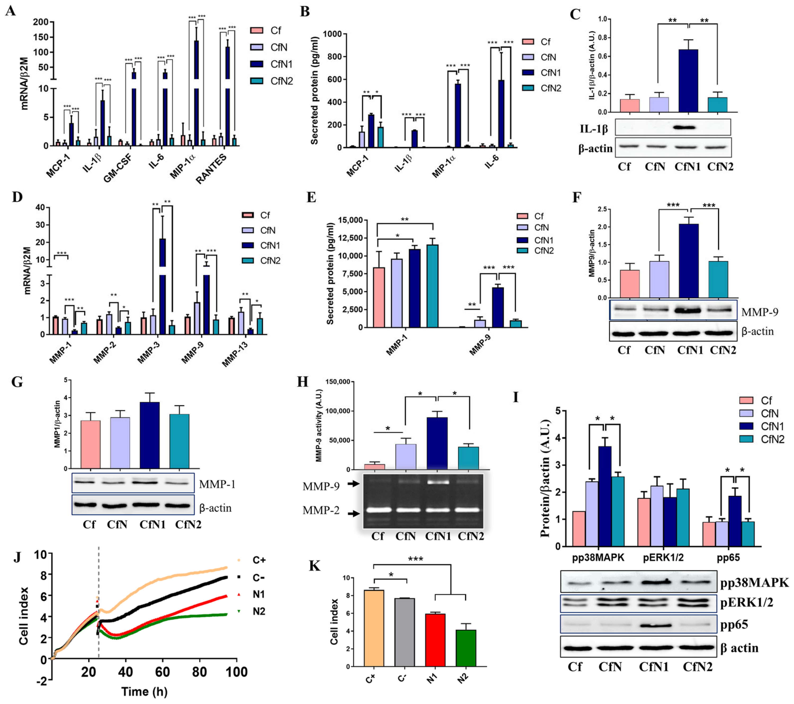 Biomedicines 13 02829 g002
