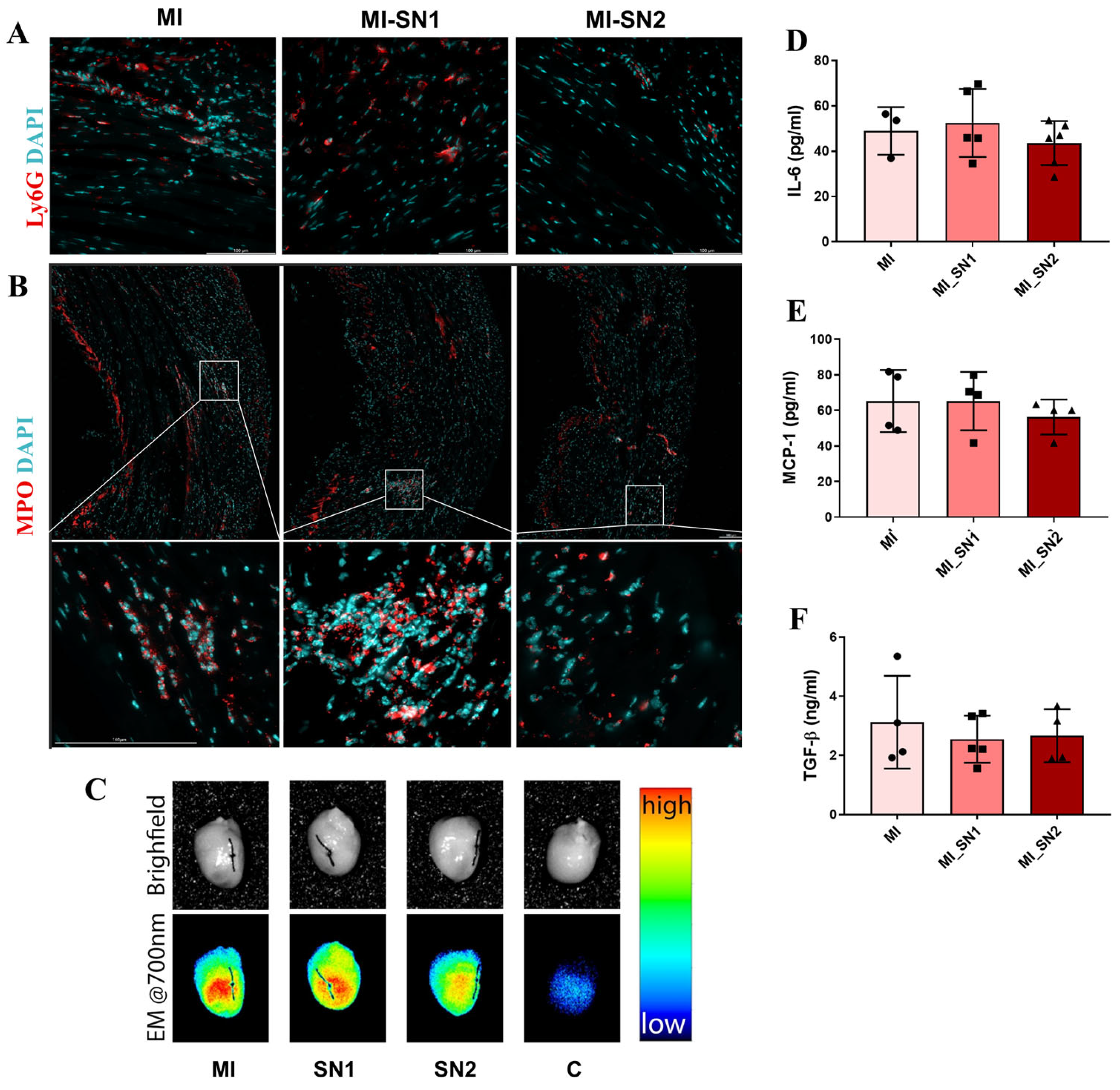 Biomedicines 13 02829 g004