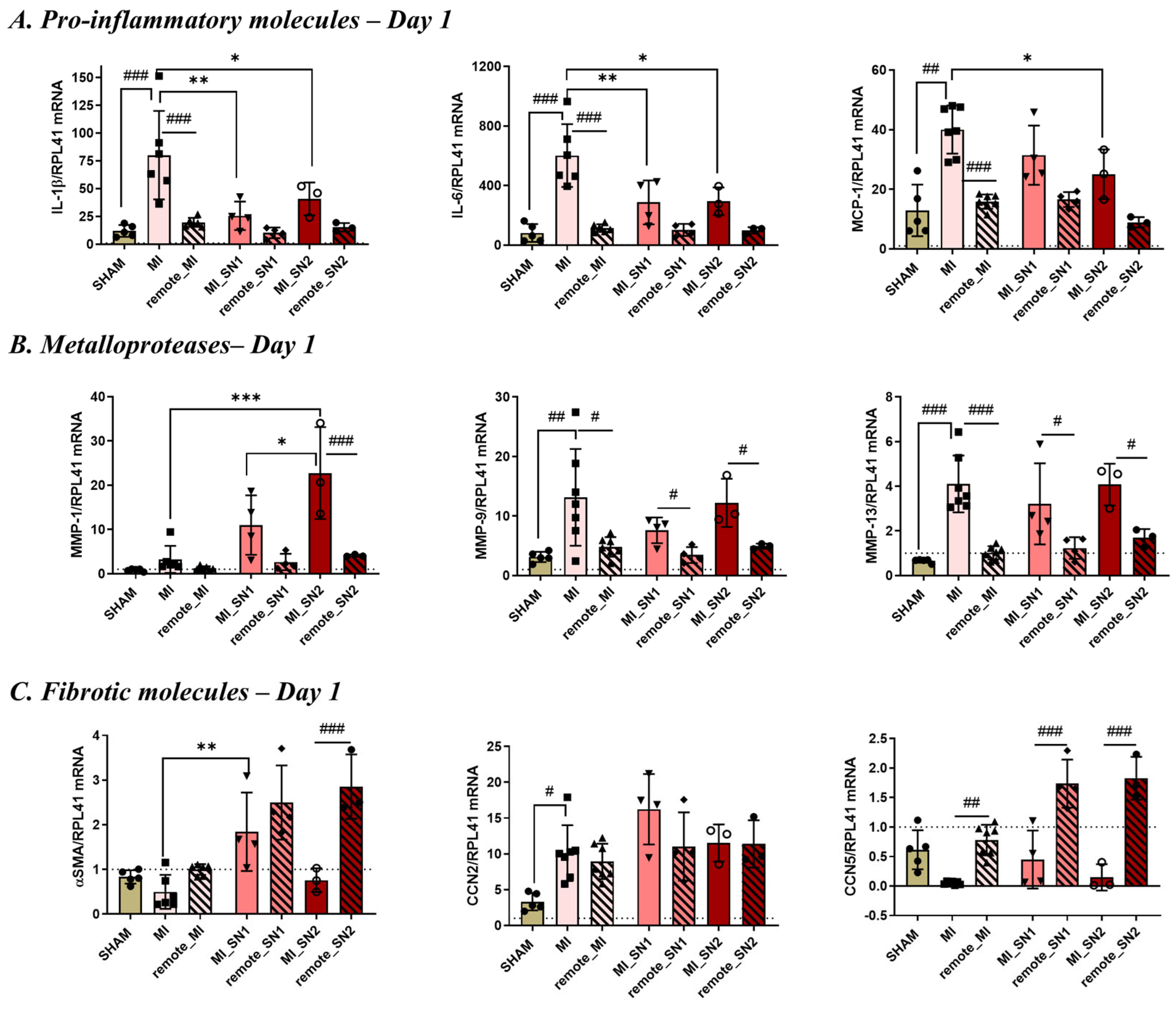 Biomedicines 13 02829 g005