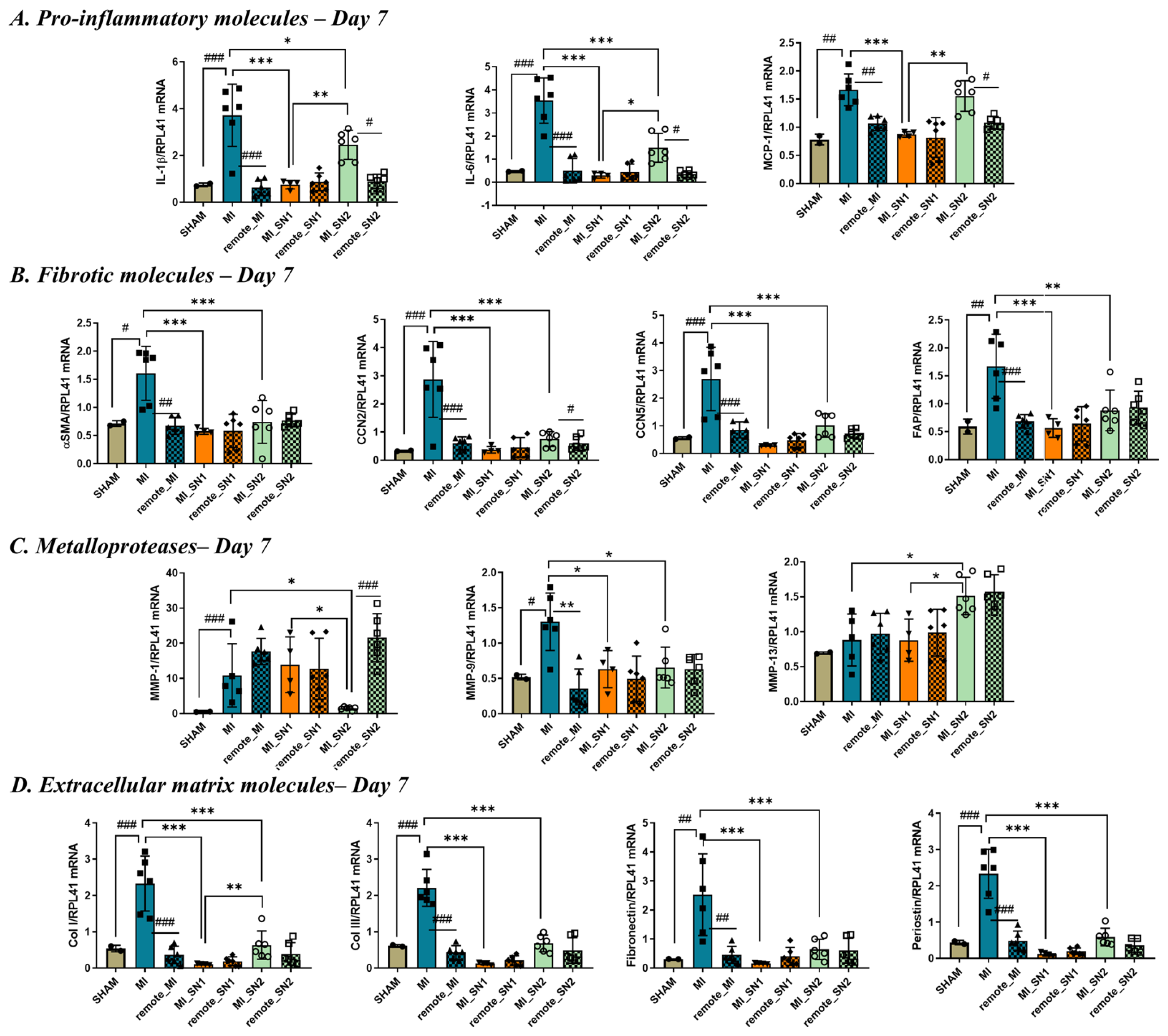 Biomedicines 13 02829 g006