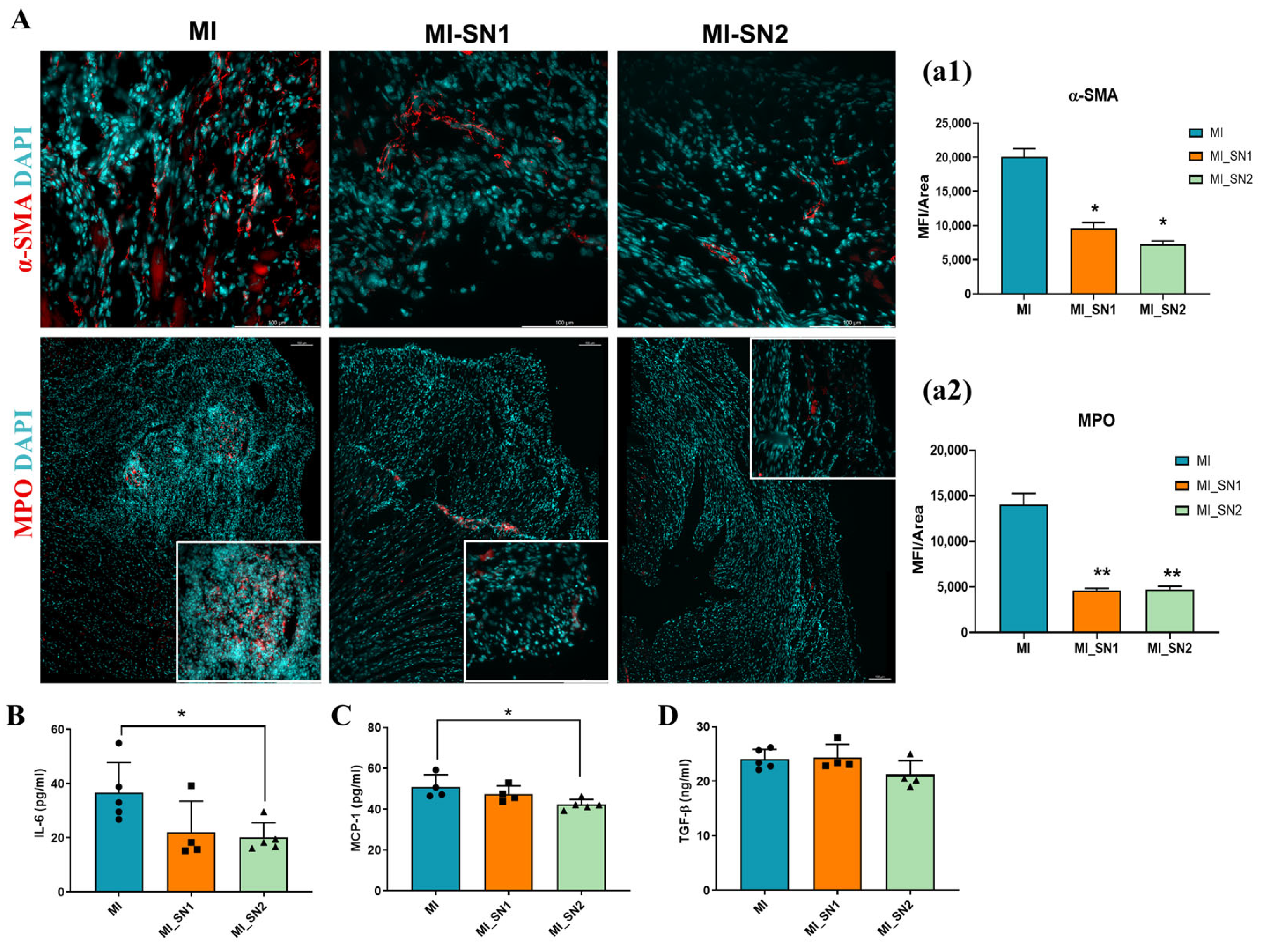 Biomedicines 13 02829 g007