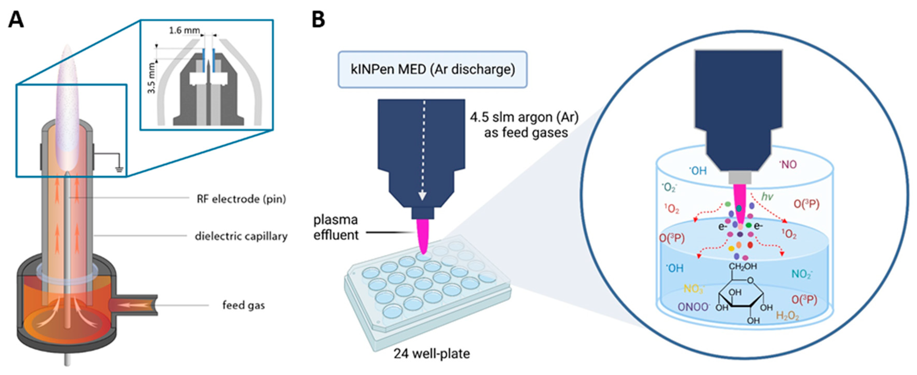 Biomedicines 13 02833 g001