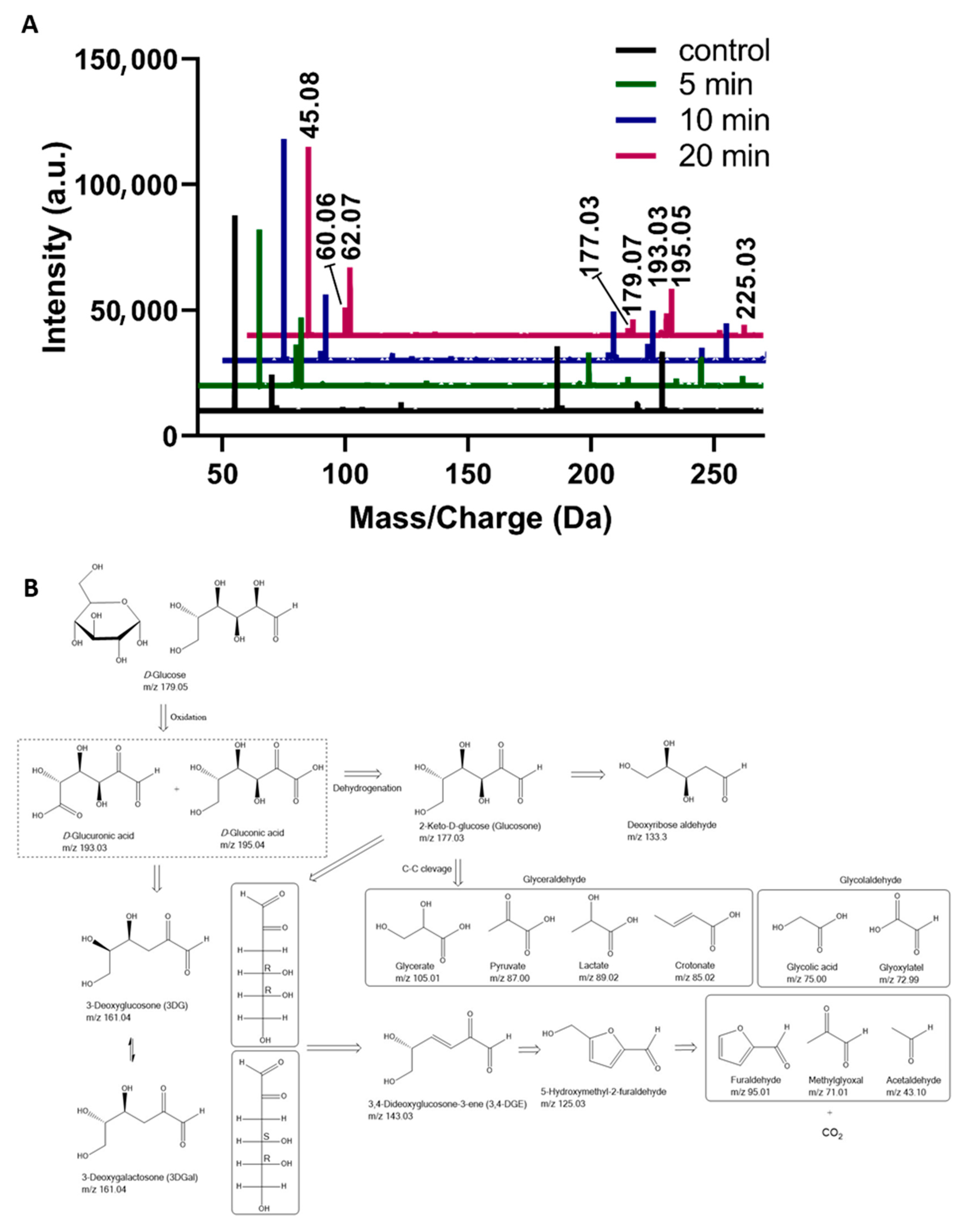 Biomedicines 13 02833 g002