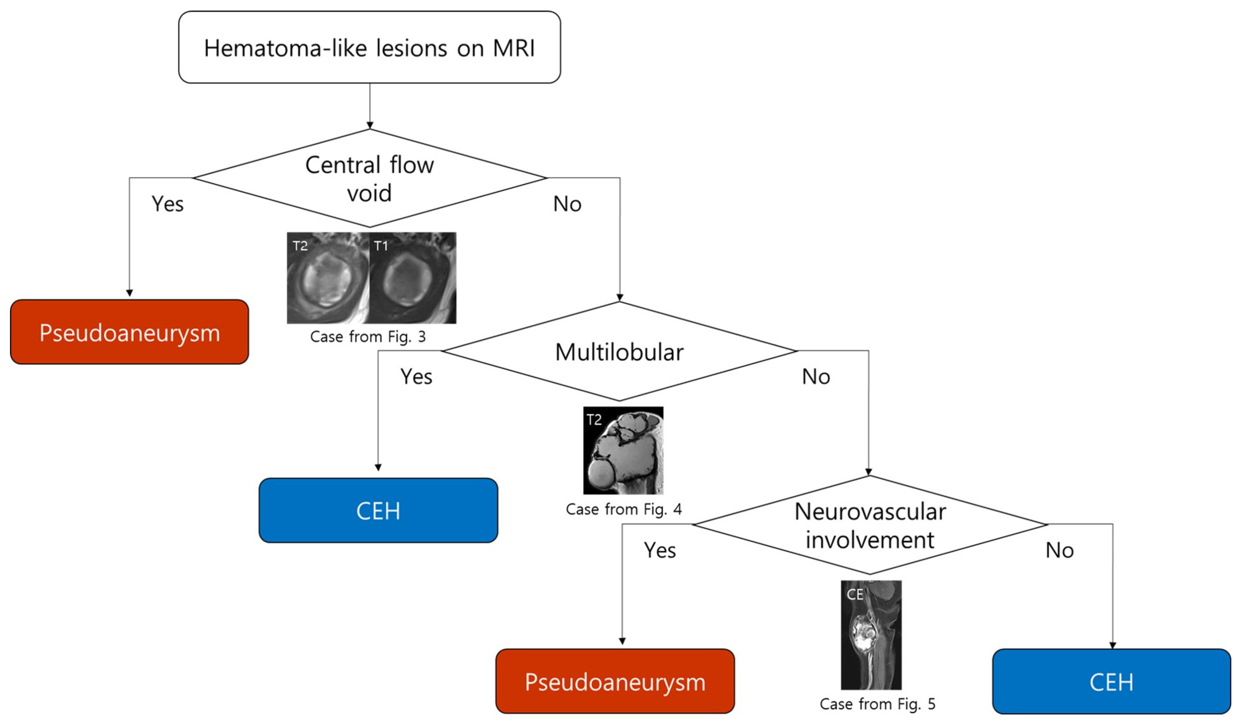 Biomedicines 13 02834 g002