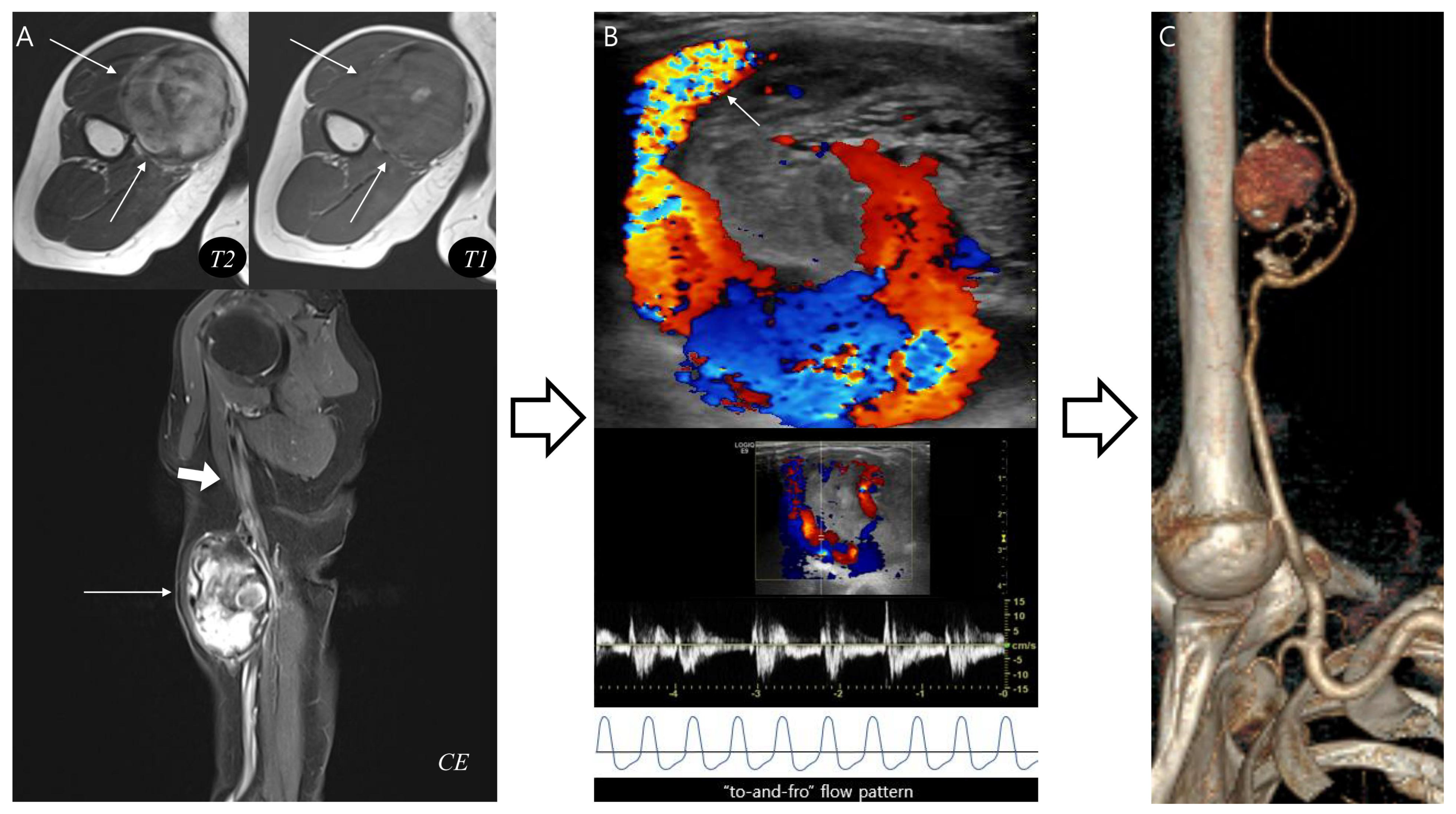 Biomedicines 13 02834 g005