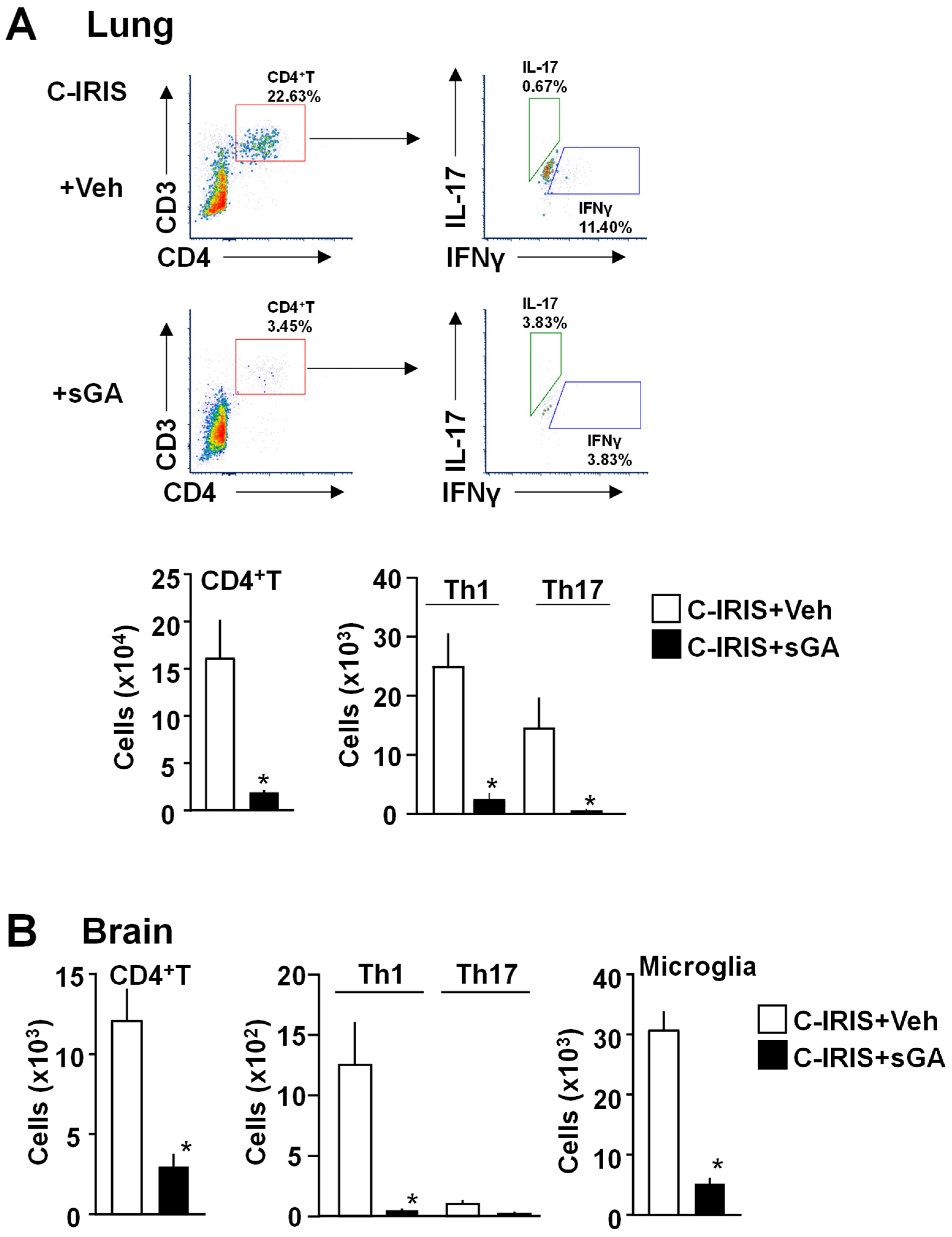 Biomedicines 13 02835 g003