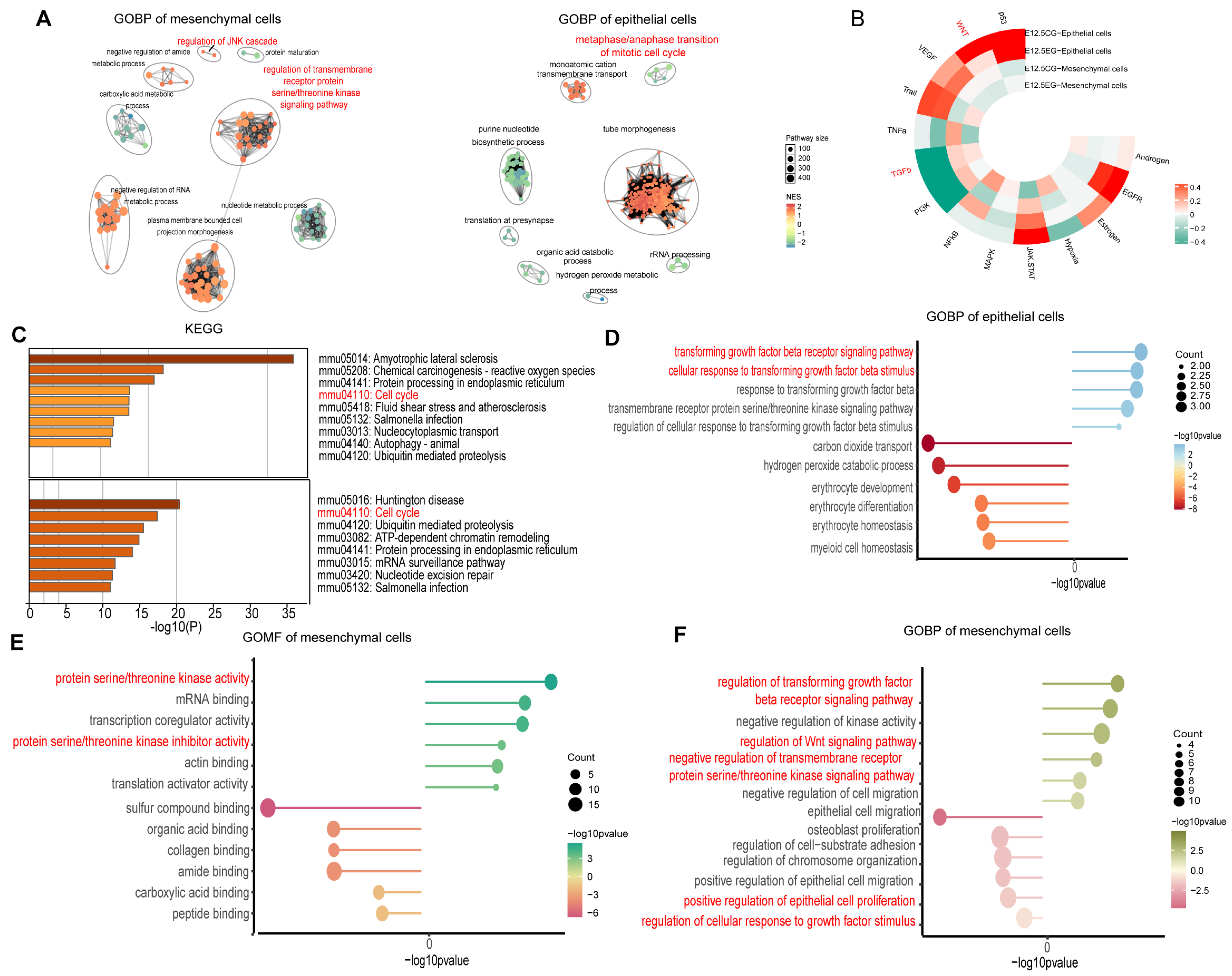 Biomedicines 13 02836 g002