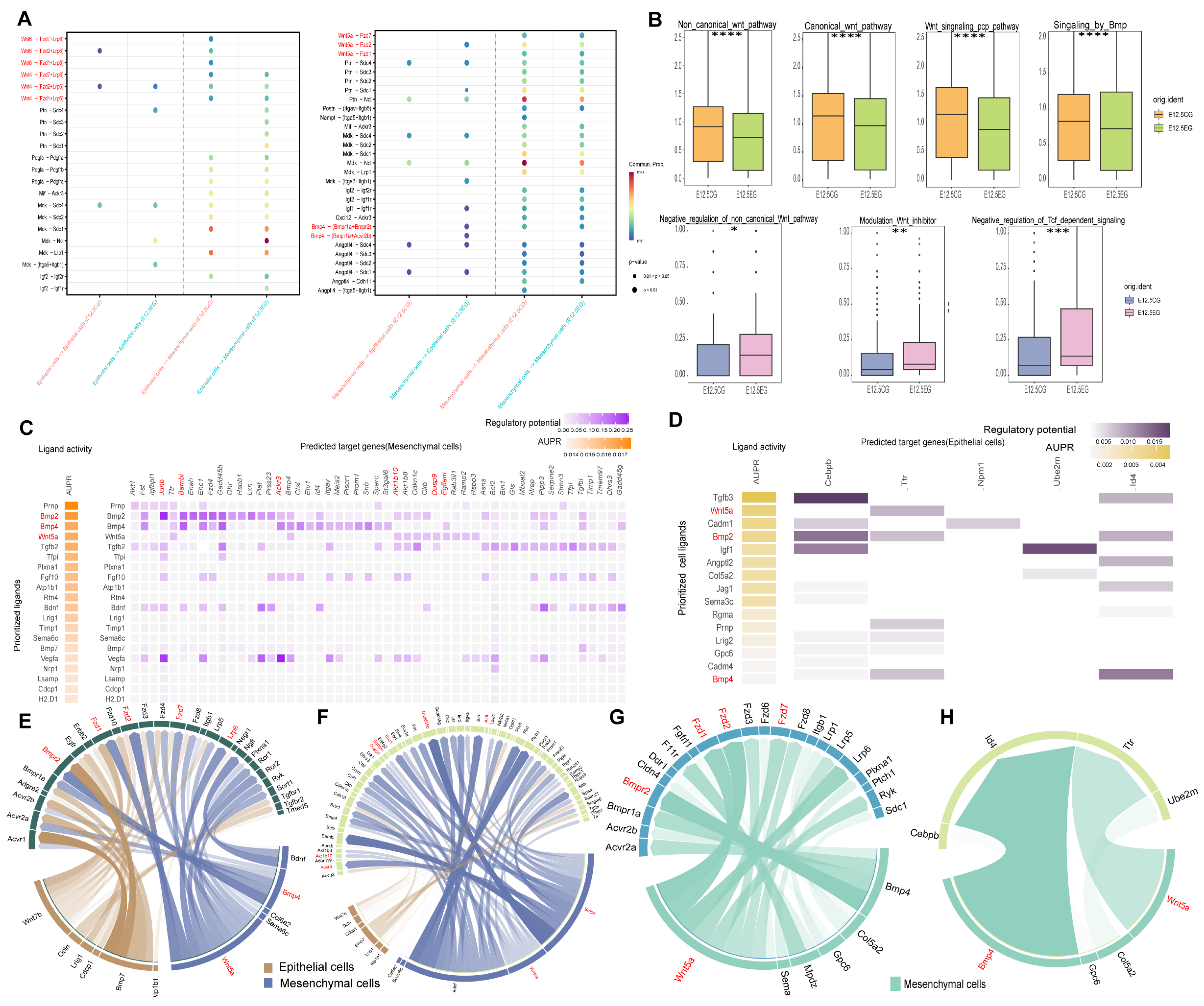 Biomedicines 13 02836 g004
