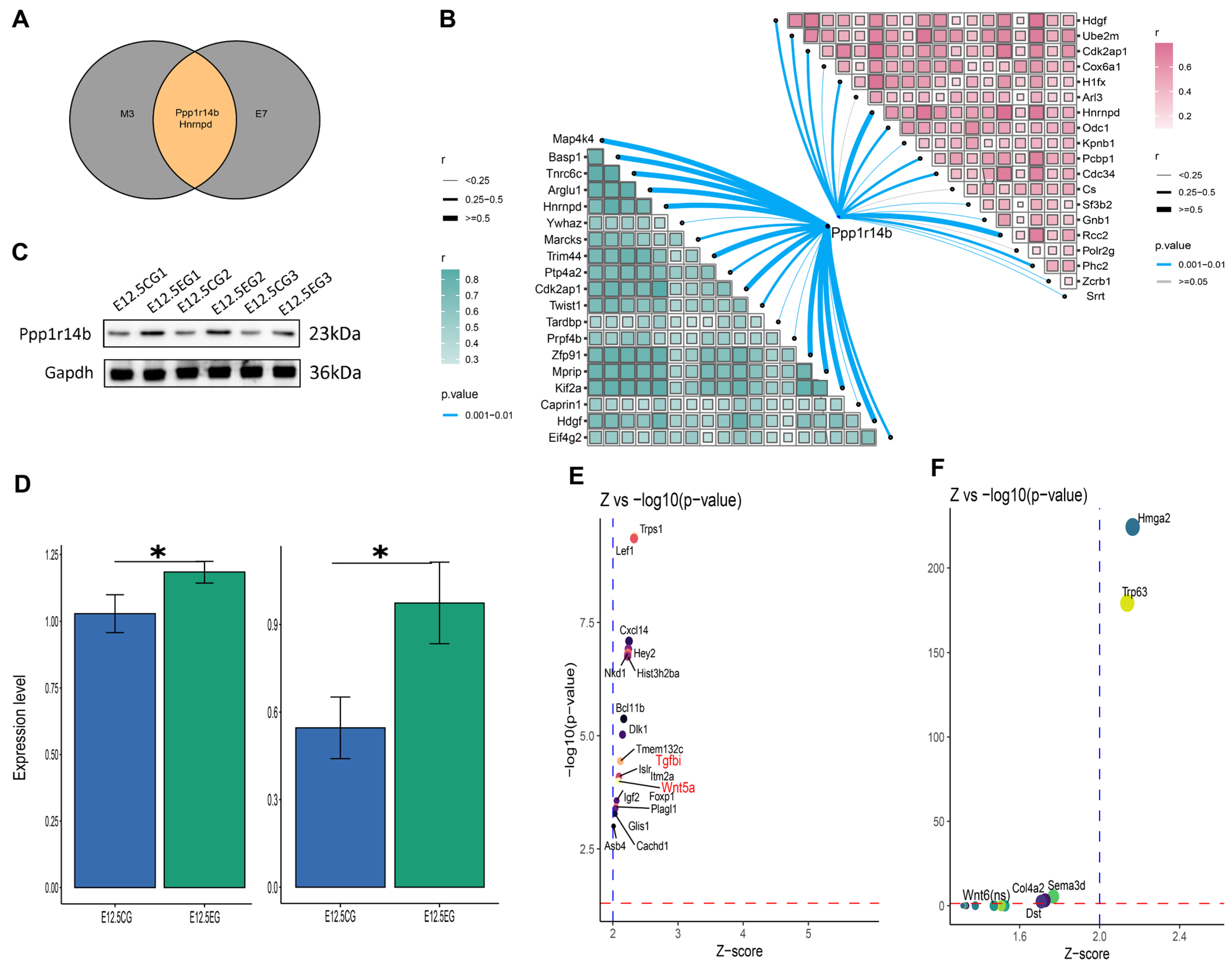 Biomedicines 13 02836 g007