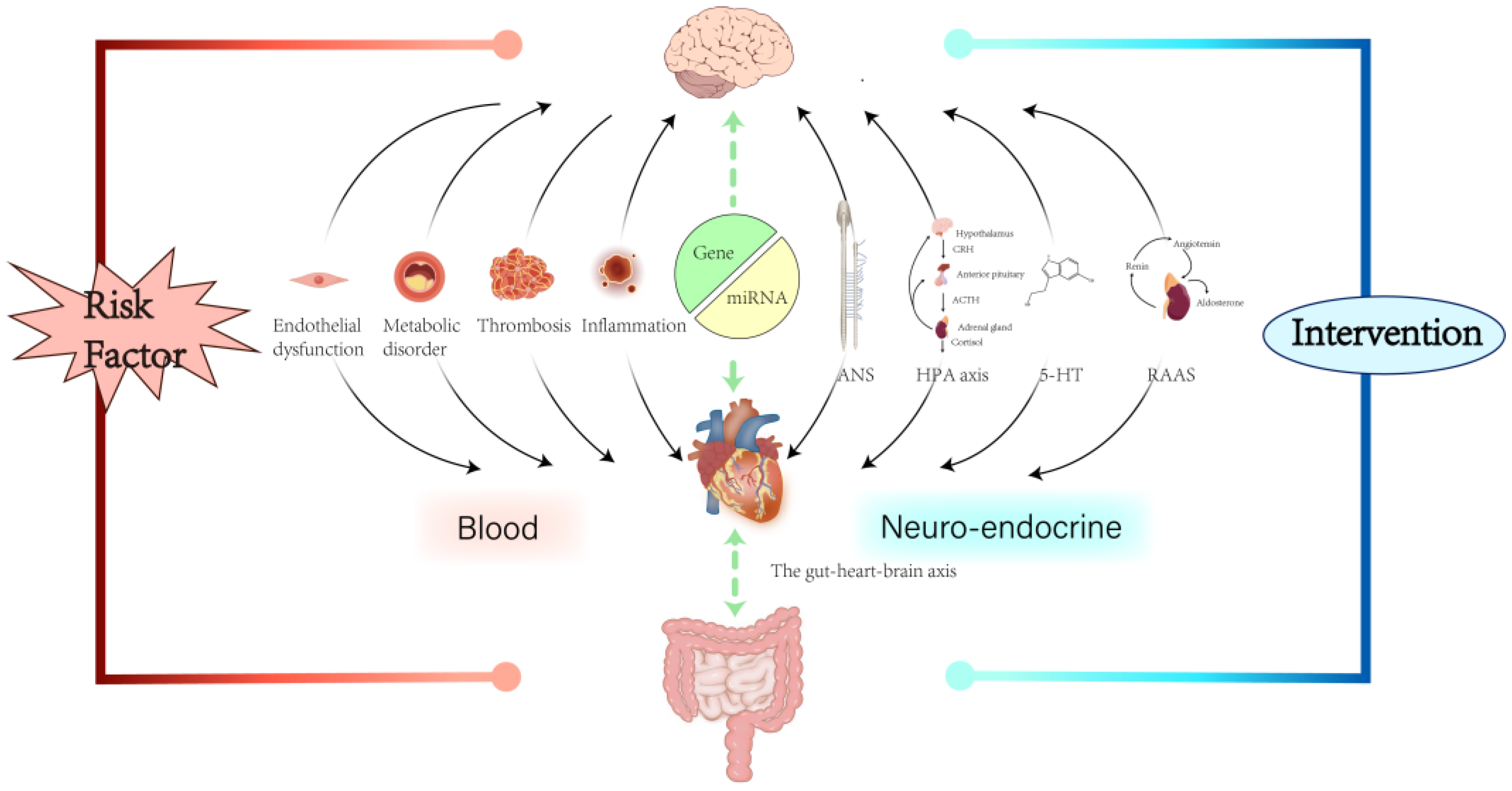 Biomedicines 13 02838 g001