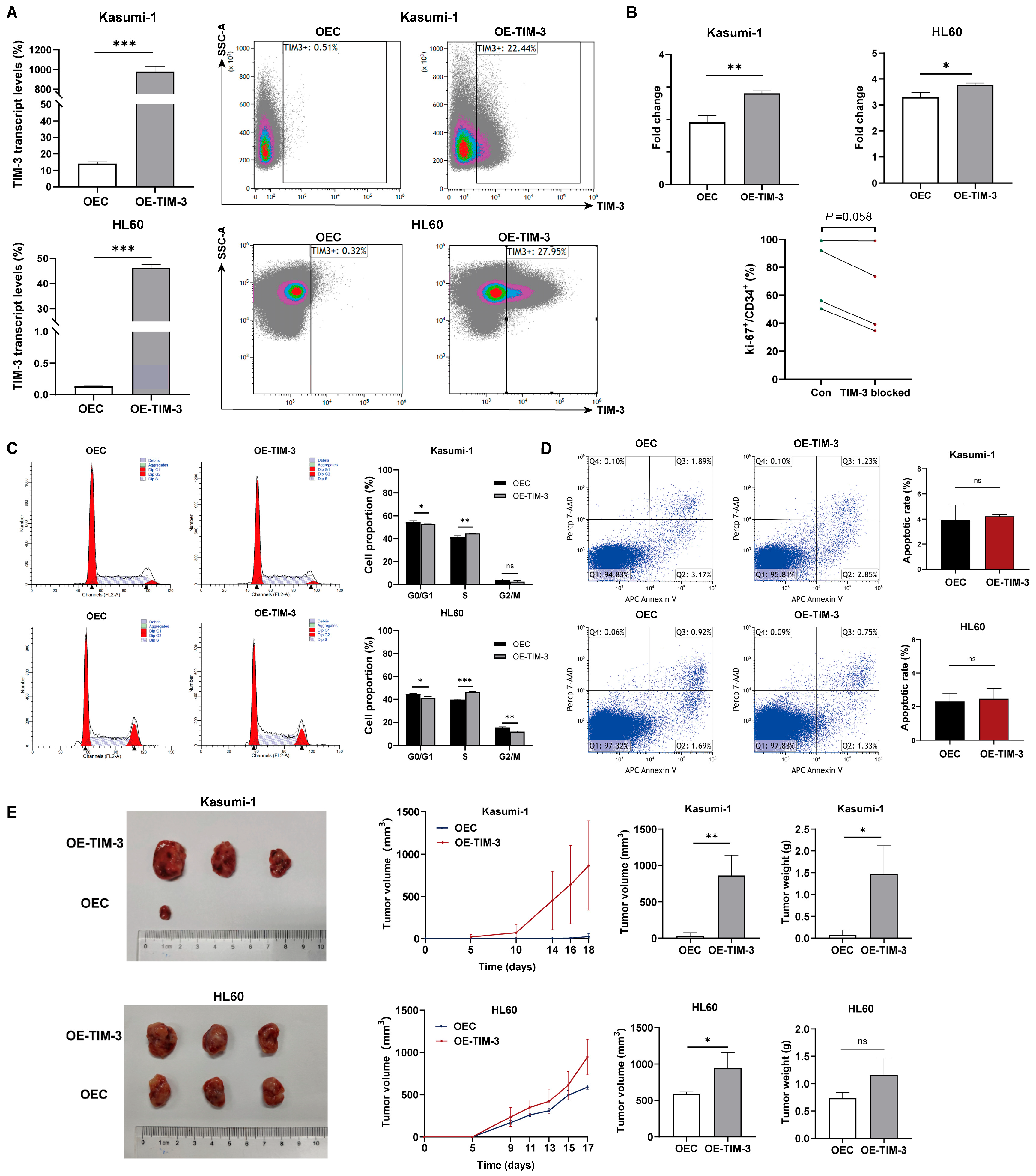 Biomedicines 13 02841 g003