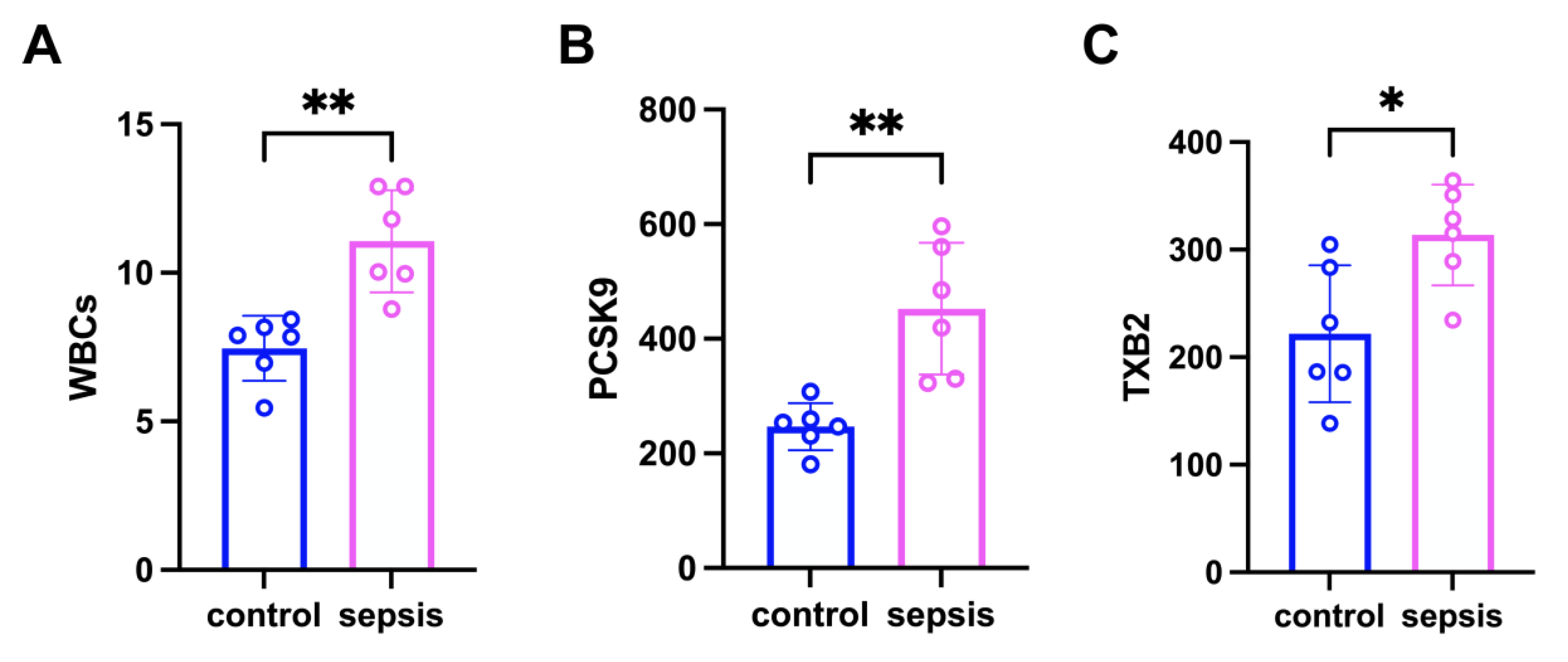 Biomedicines 13 02843 g001