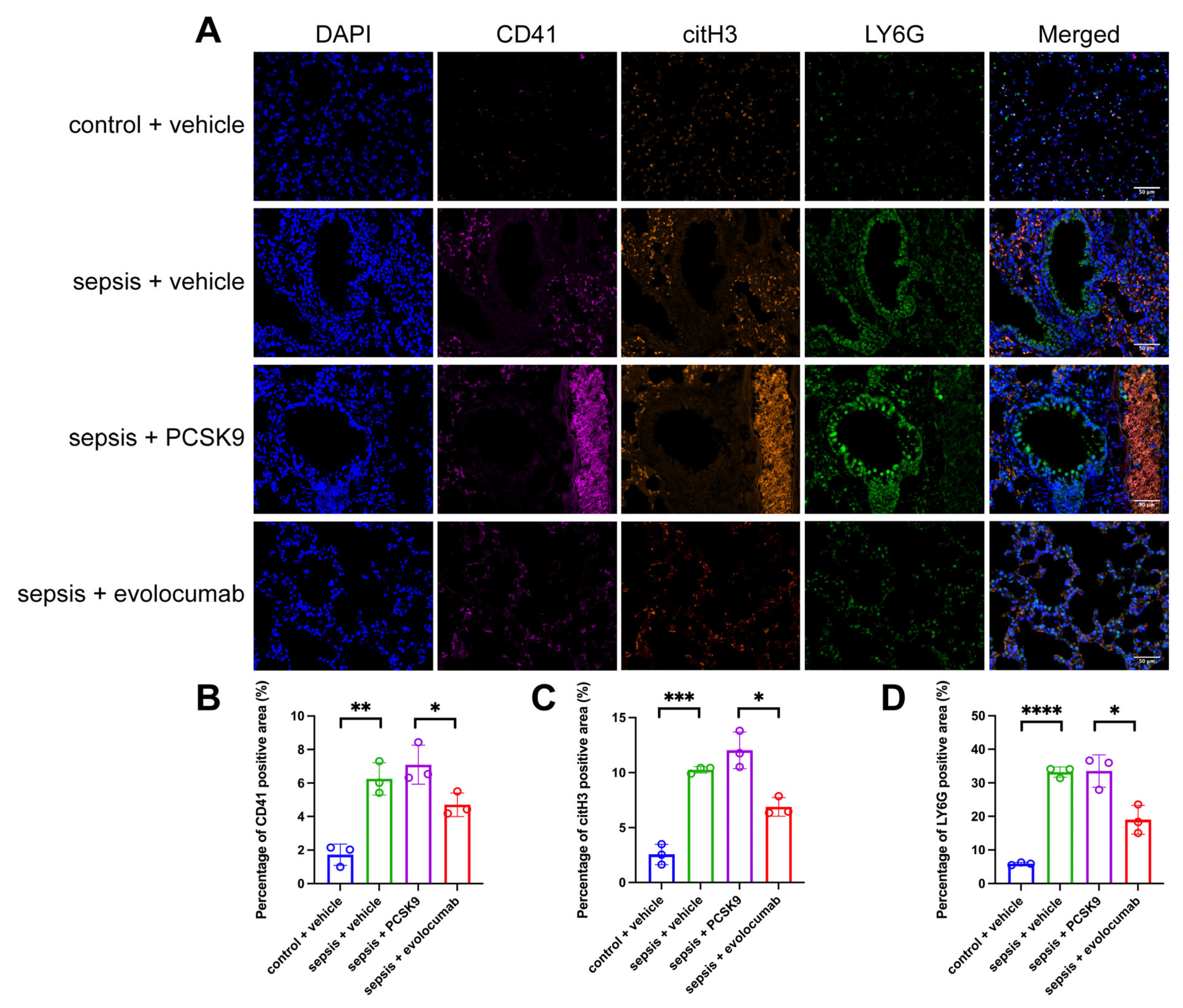 Biomedicines 13 02843 g006
