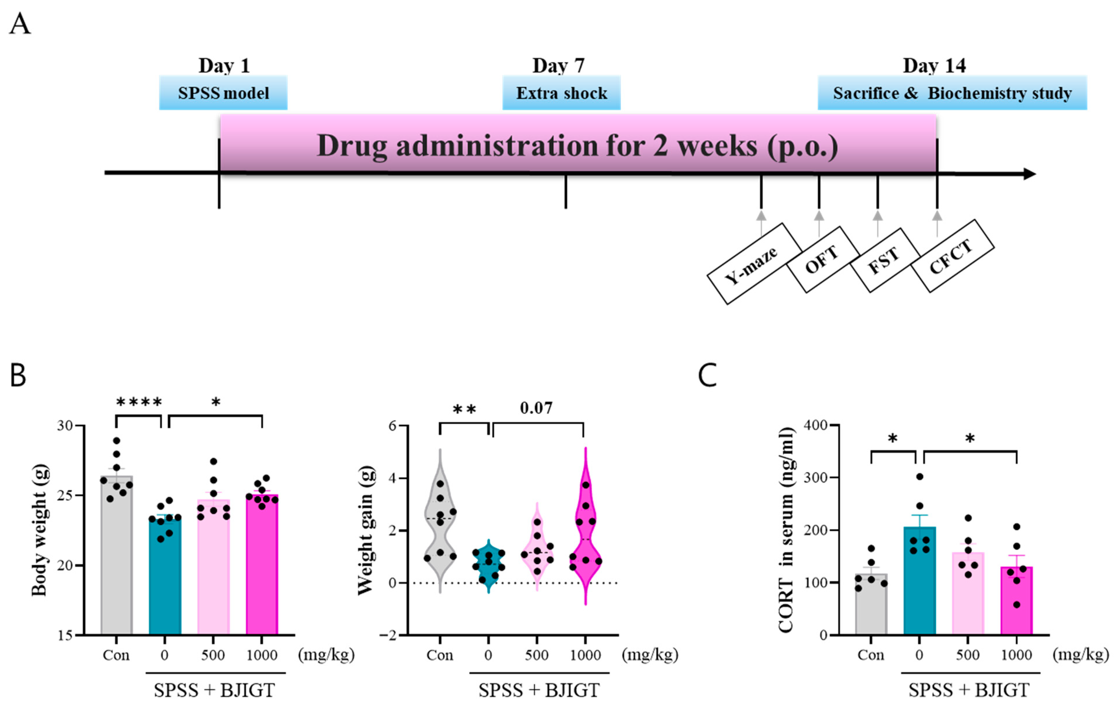 Biomedicines 13 02846 g001