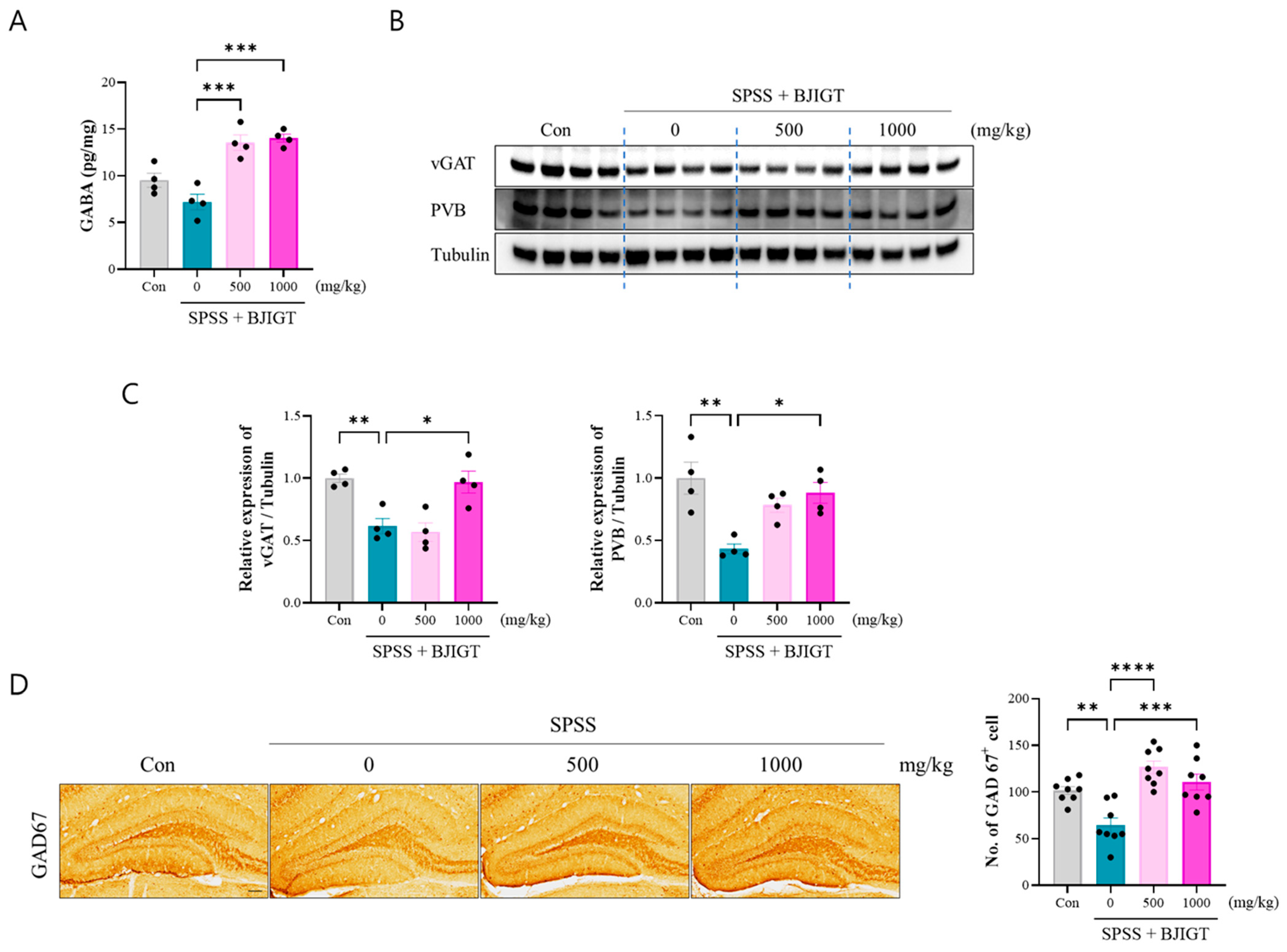 Biomedicines 13 02846 g004