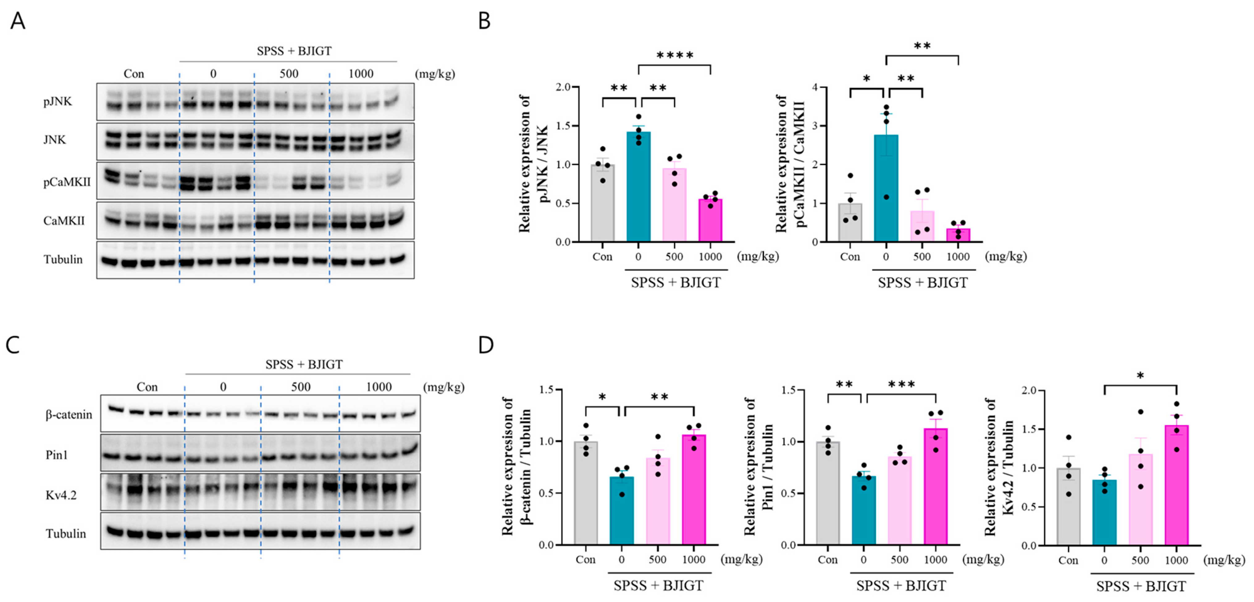 Biomedicines 13 02846 g005