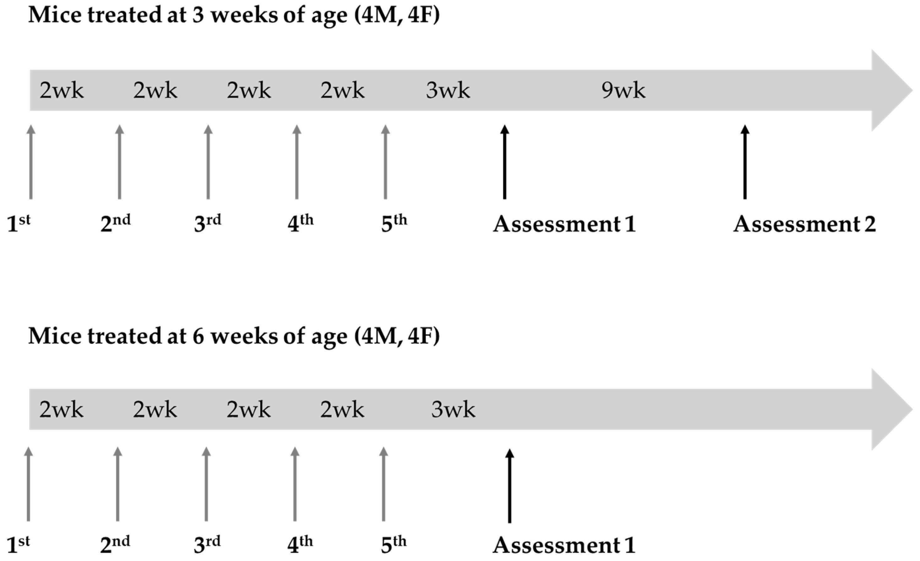 Biomedicines 13 02848 g002