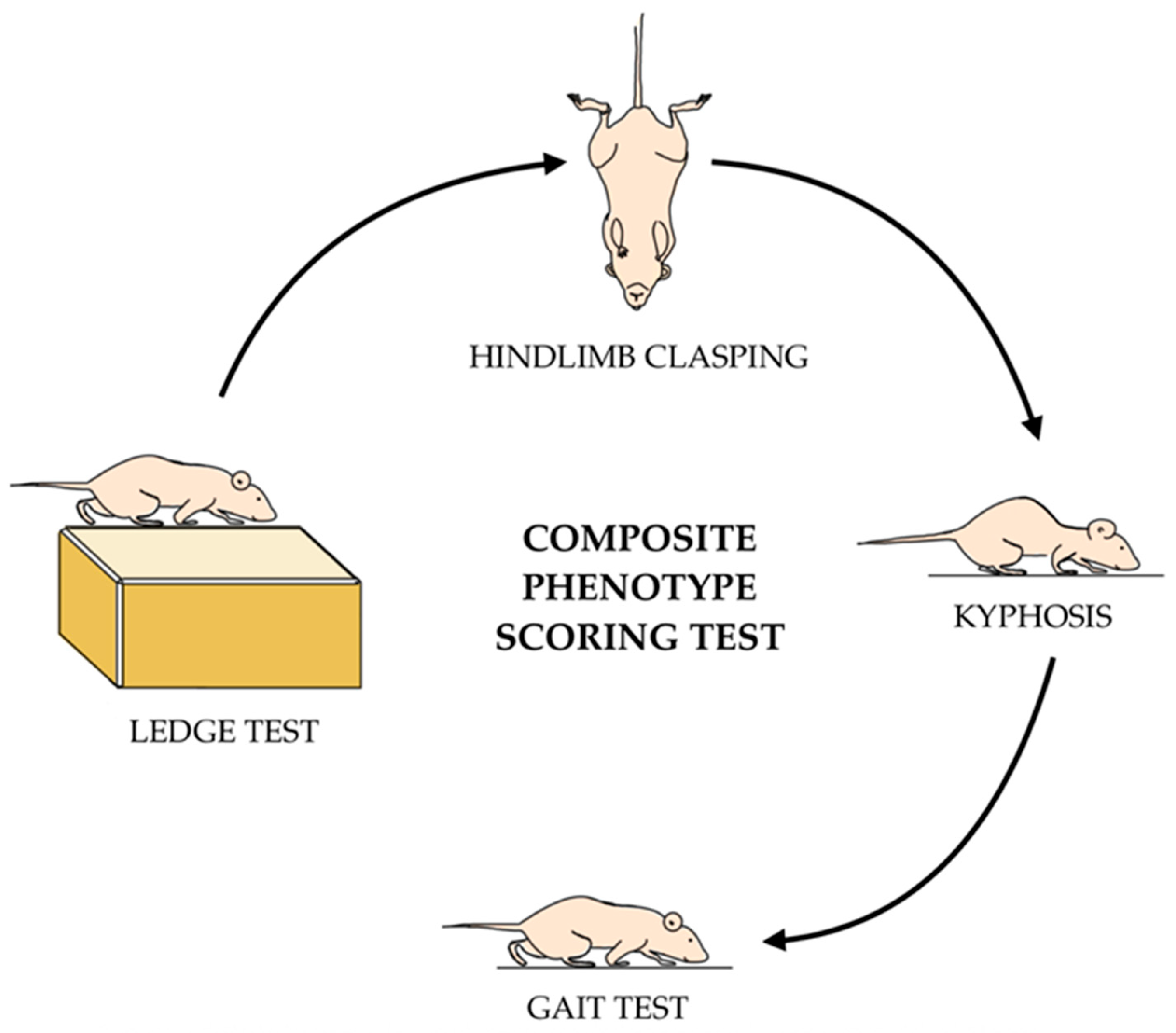Biomedicines 13 02848 g003