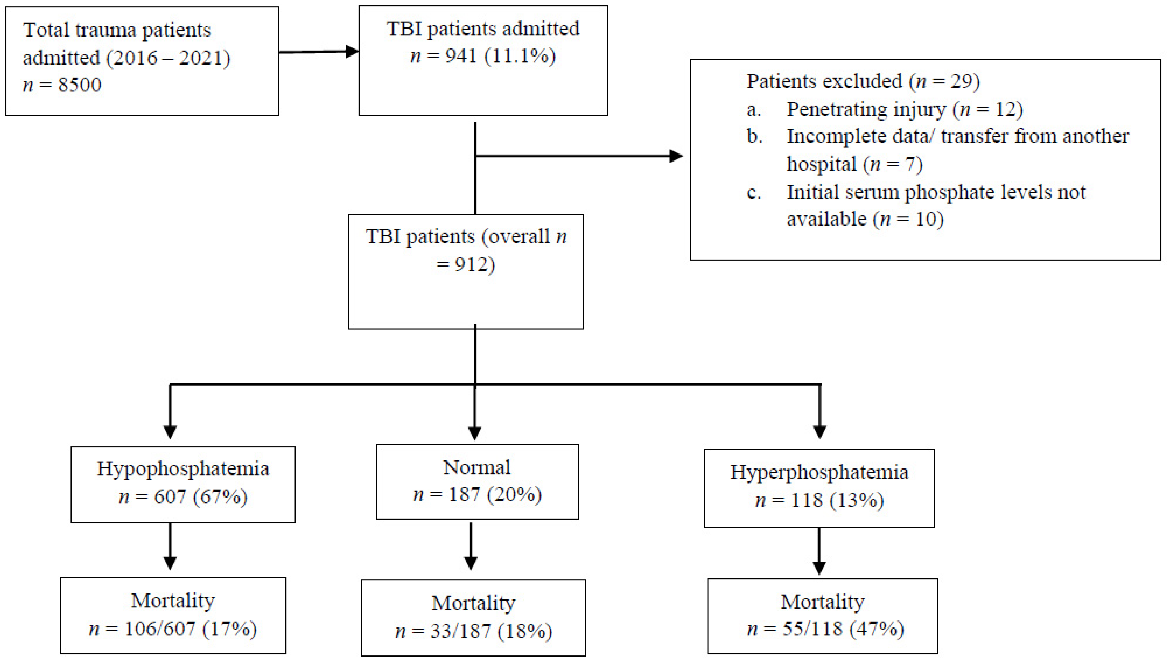 Biomedicines 13 02858 g001