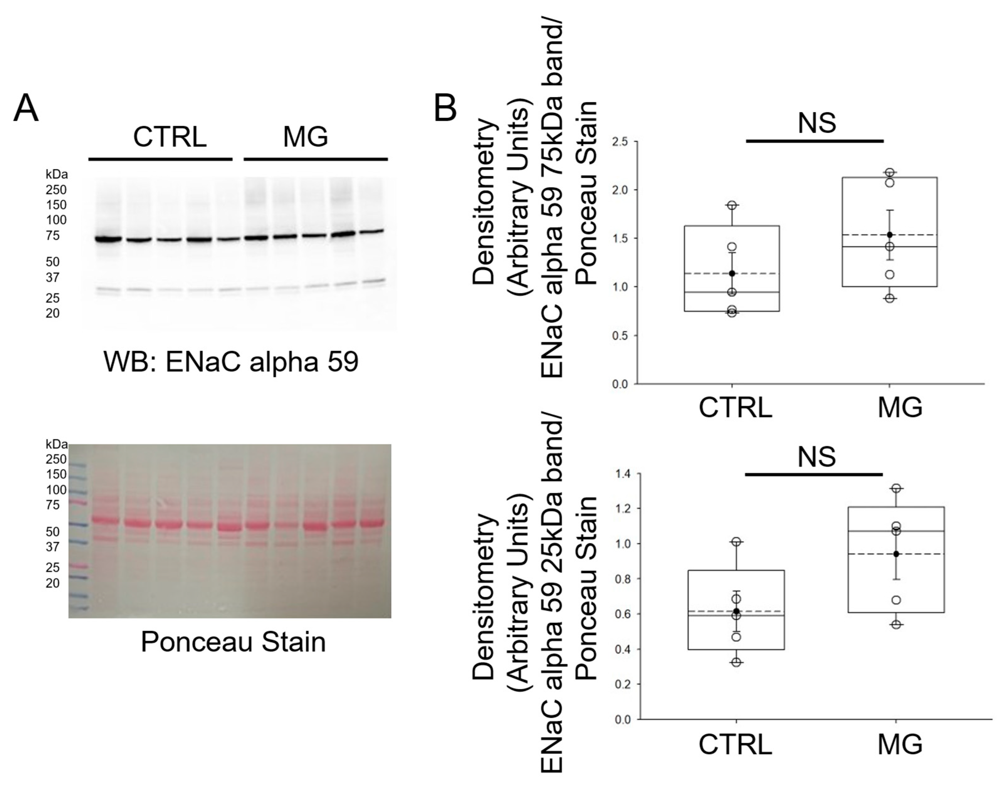 Biomedicines 13 02860 g004