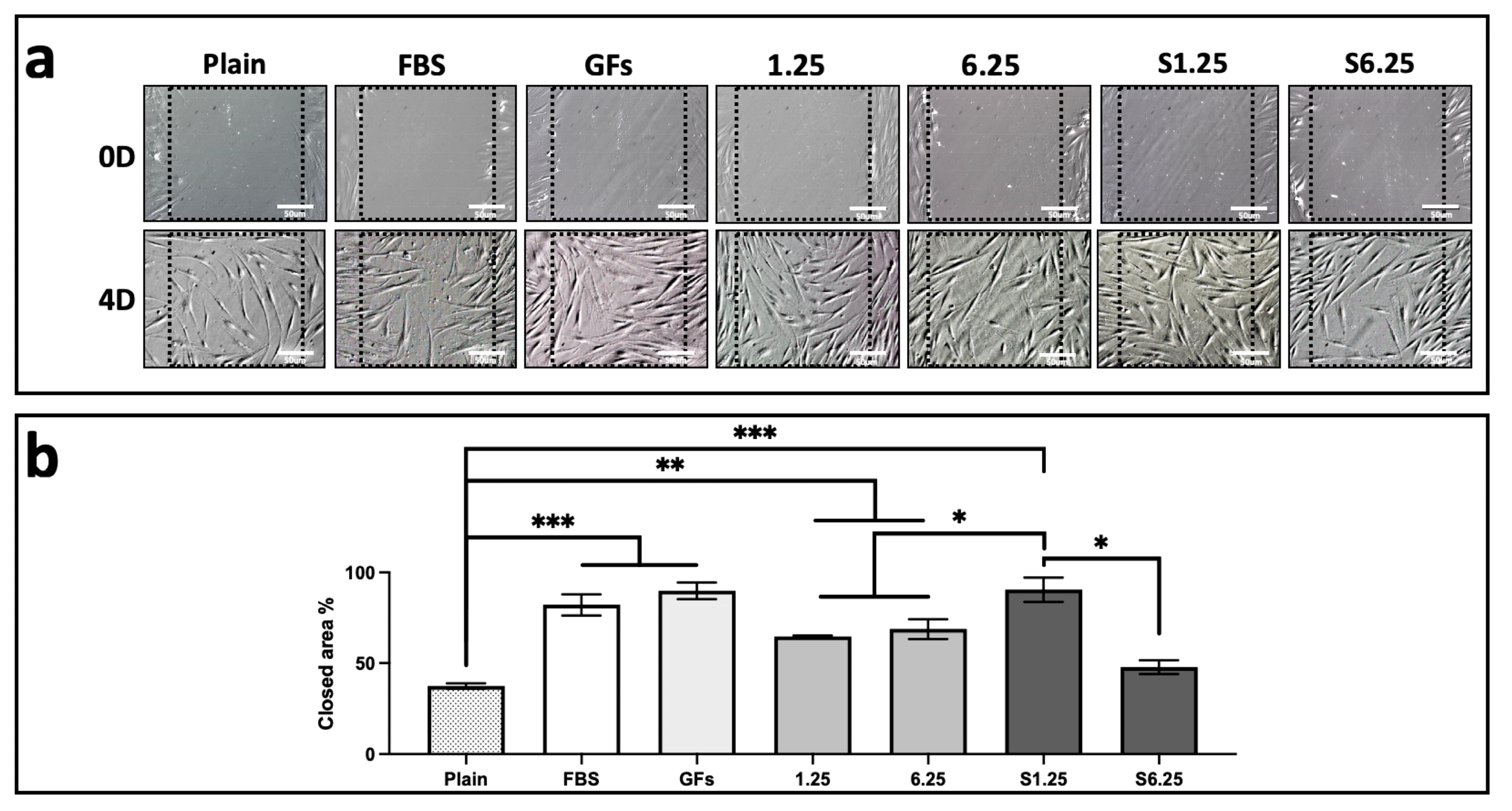 Biomedicines 13 02863 g004