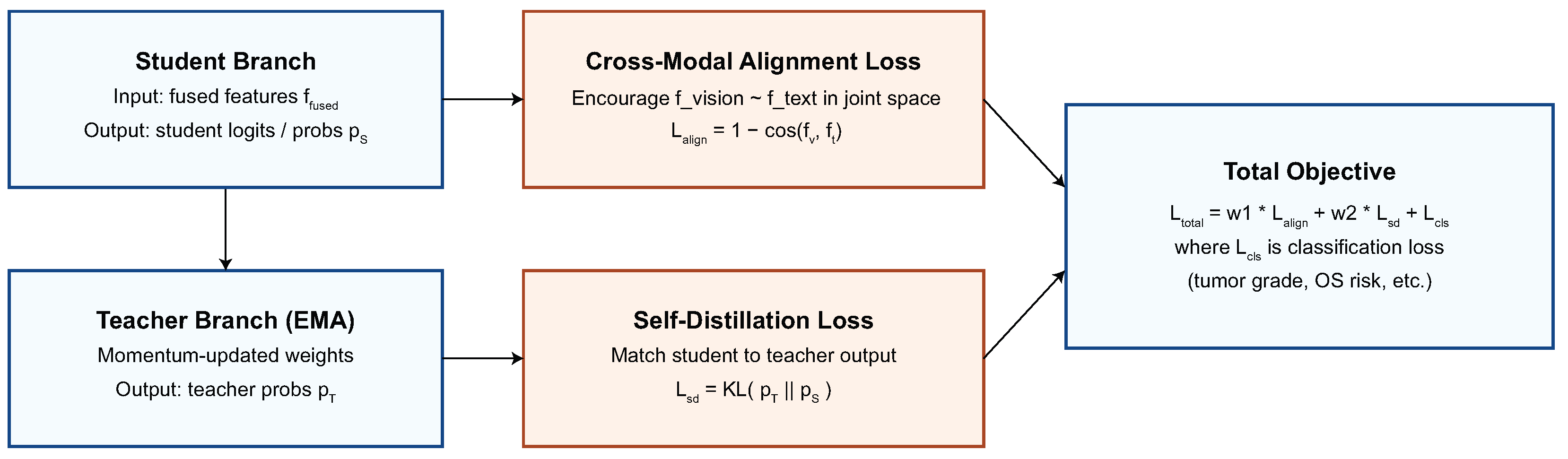 Biomedicines 13 02864 g004