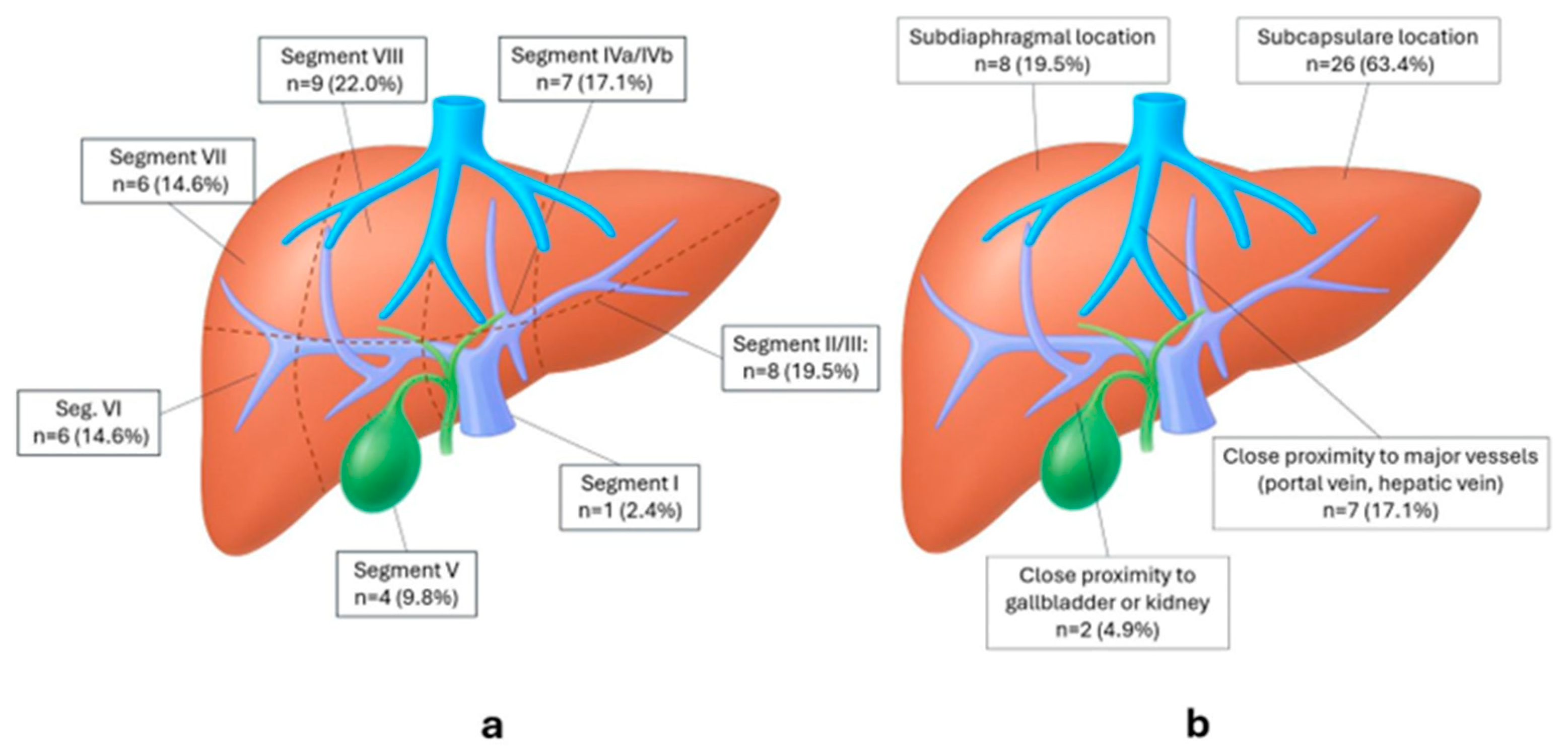 Biomedicines 13 02865 g002