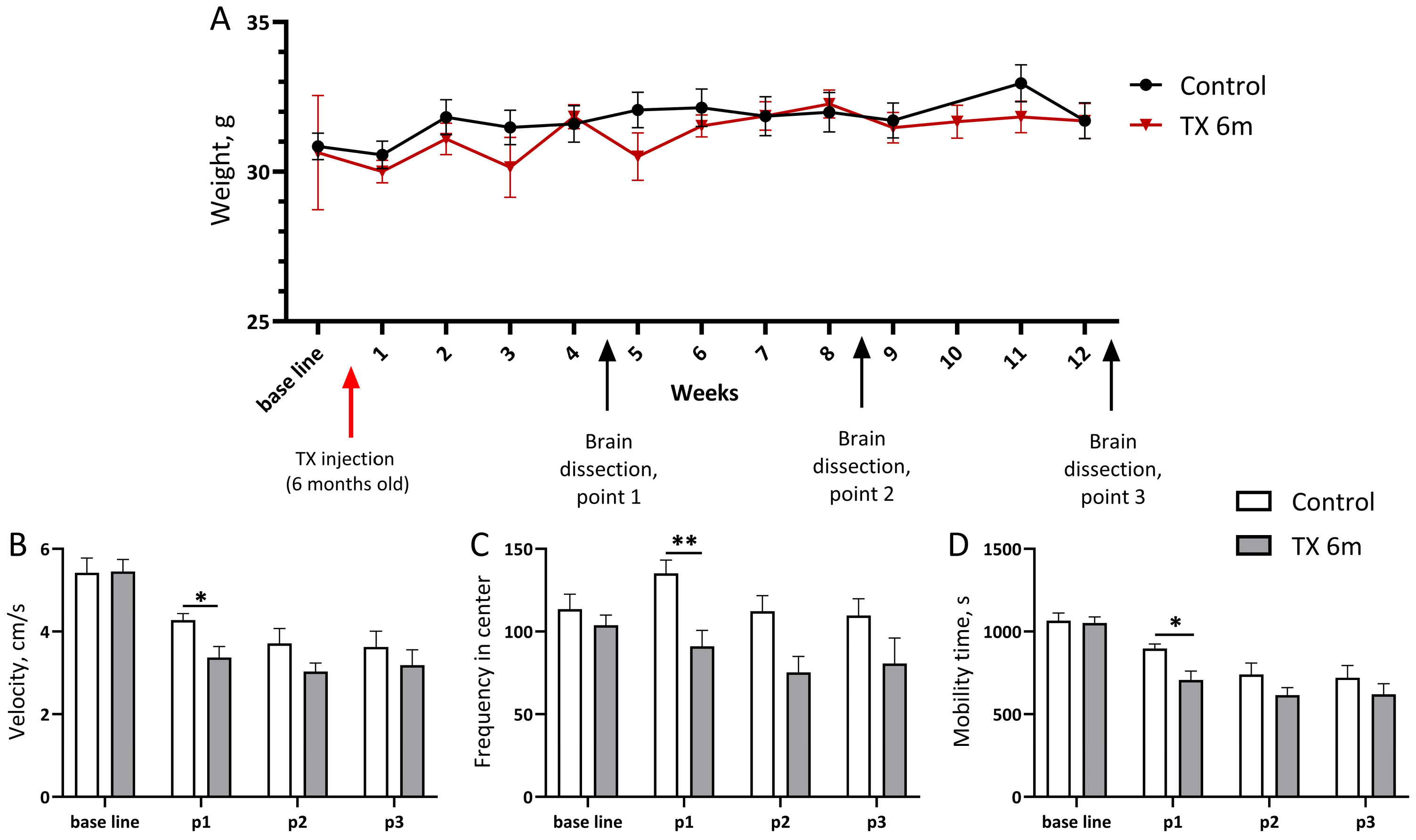 Biomedicines 13 02866 g003