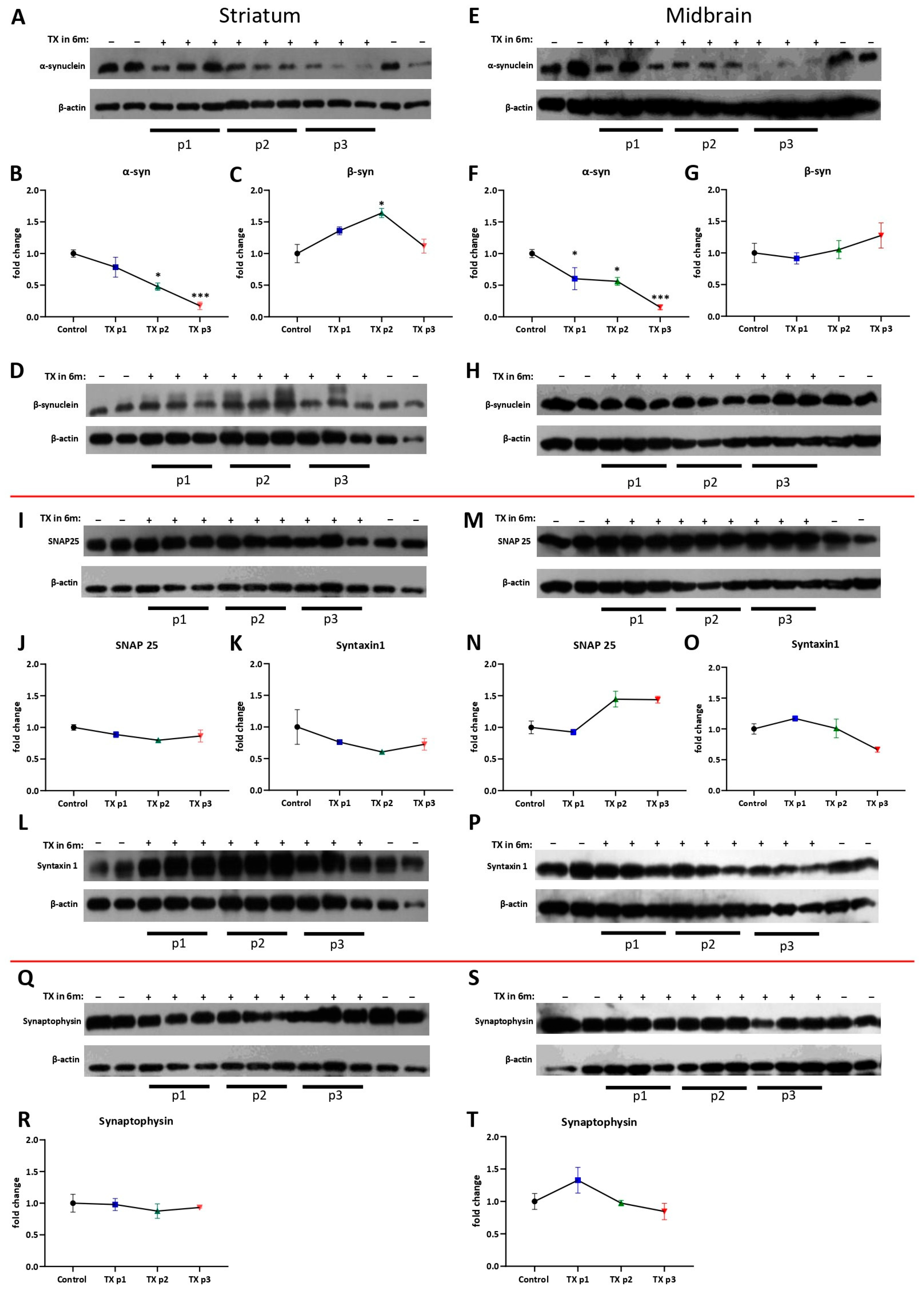 Biomedicines 13 02866 g004