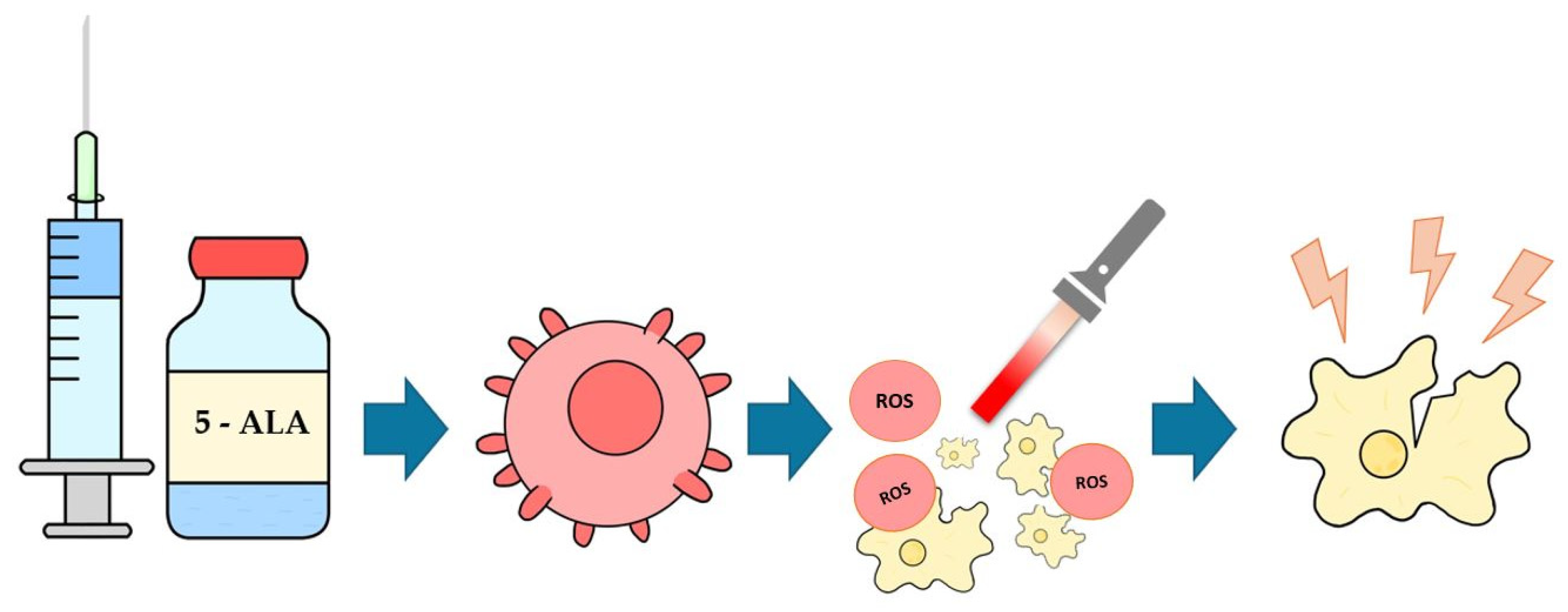 Biomedicines 13 02867 g001