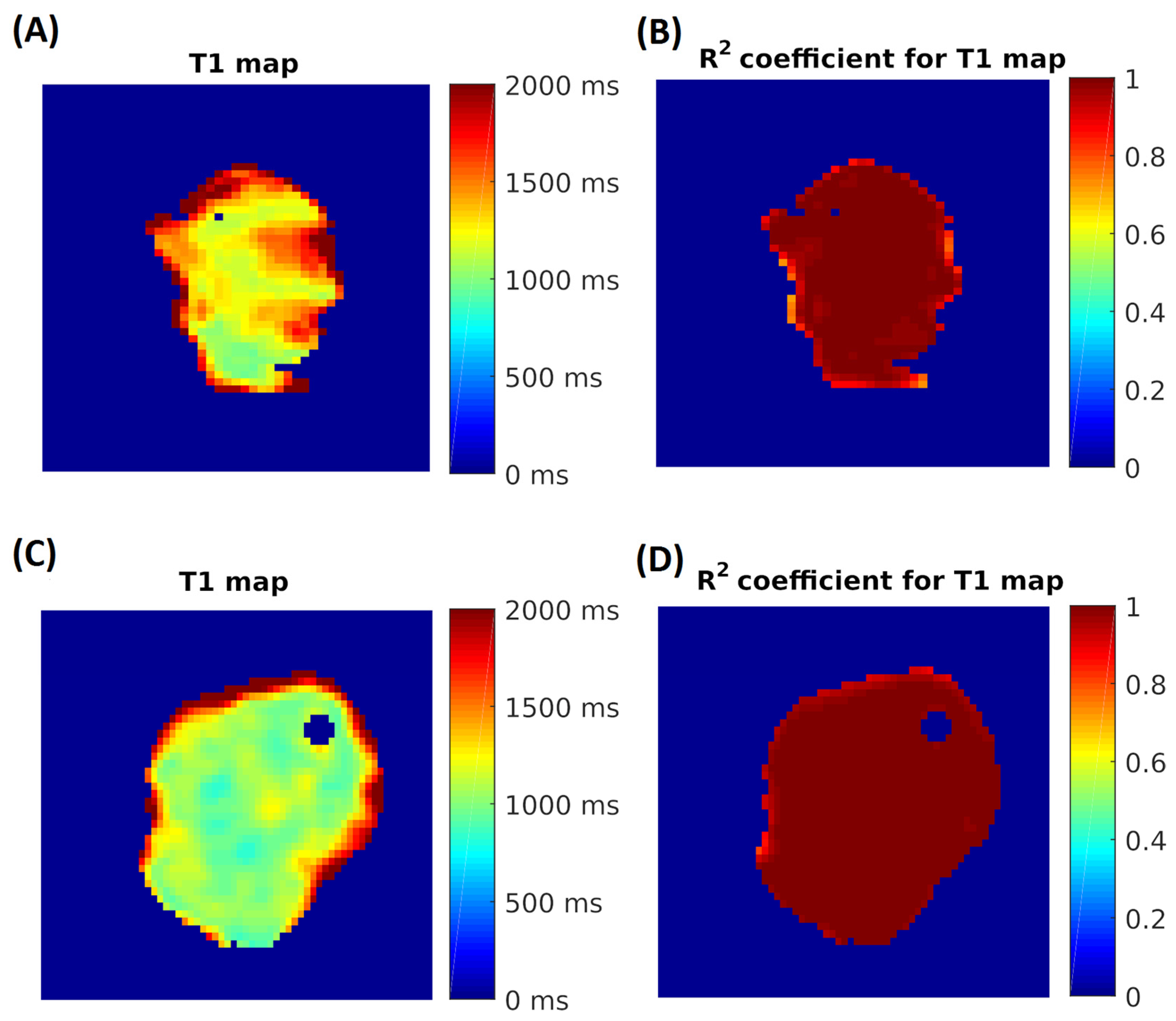 Biomedicines 13 02867 g002